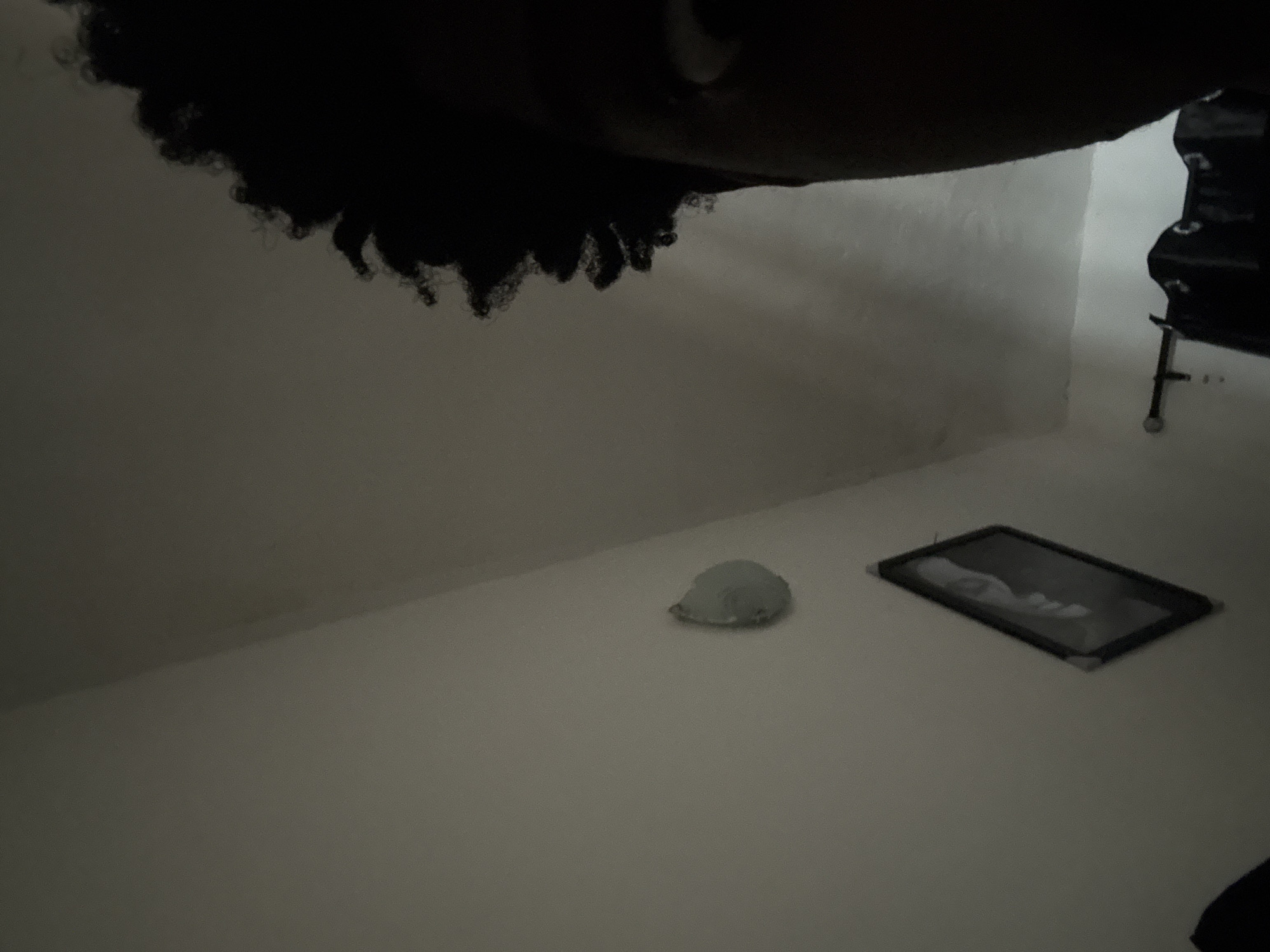 The media file presents an indoor scene captured from a low-angle perspective. At the very top of the image, the dark, curly hair and a portion of a person's head are visible, appearing inverted relative to the ground. A subtle hint of an eye or the orbital area can be seen in the shadowed face.
The room features plain, light-colored walls and floor, providing a minimalist backdrop. On the floor, two items are present. A small, light-colored, rounded object lies to the left. To its right, a dark-framed, rectangular object rests flat, revealing a black and white photograph within. The photograph appears to depict a person's face, possibly a baby or child, looking towards the upper right.
In the upper right corner, part of a dark, angular piece of furniture, possibly a chair or stand, is visible, distinguished by its metallic support components. The overall lighting is dim, creating a subdued atmosphere. No specific activity is taking place, and no text is visible within the image. The setting is an interior space, consistent with a room in Ihiagwa, Nigeria.