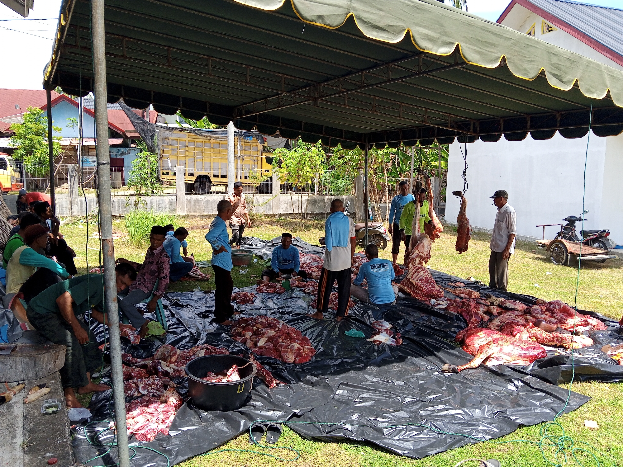 Outside in Payadua, Indonesia, a group of people are butchering meat under a large green canopy tent. The meat, likely from an animal, is arranged on a black plastic sheet on the grass. Men in light-colored shirts are cutting and handling the meat. Some carcasses are hanging from the tent's frame. In the background, there are buildings, a yellow truck, and a motorcycle with a trailer. One man is using a chopping block to cut meat. Several black buckets are visible, containing meat.
