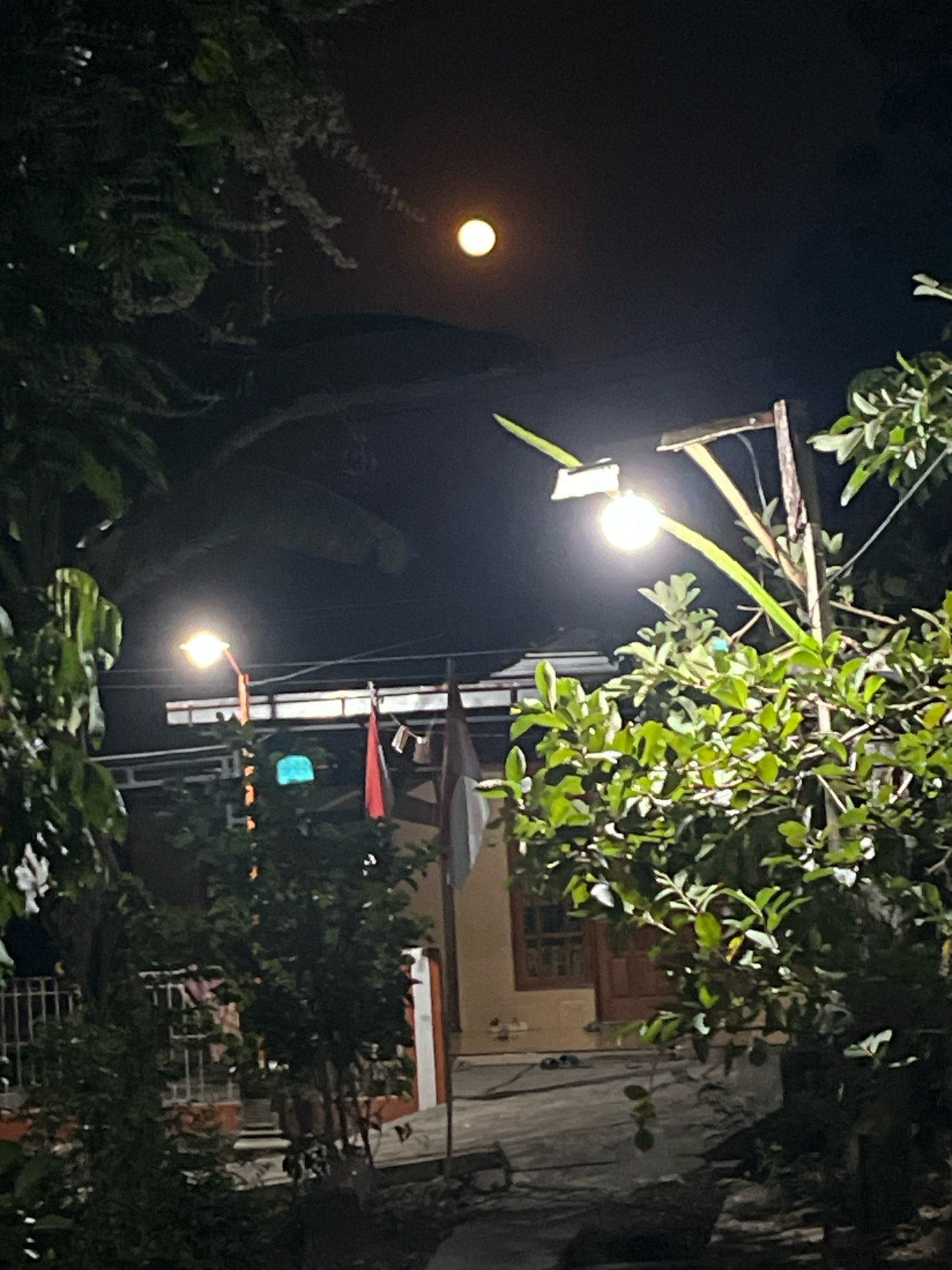 A nighttime outdoor scene in Wonokerto, Indonesia, features a bright full moon in a dark sky. In the foreground, lush green foliage from trees obscures parts of the view. Two streetlights are visible; one in the middle ground illuminates a patch of the scene, and another, further back and to the left, is also lit. Behind the foliage and streetlights, a building with an orange-toned wall and a brown wooden door is partially visible. Two Indonesian flags are attached to a pole in front of the building. The ground appears to be paved, with several pairs of shoes placed near the building's entrance. The overall impression is one of a residential area at night, possibly during a festive occasion given the flags.