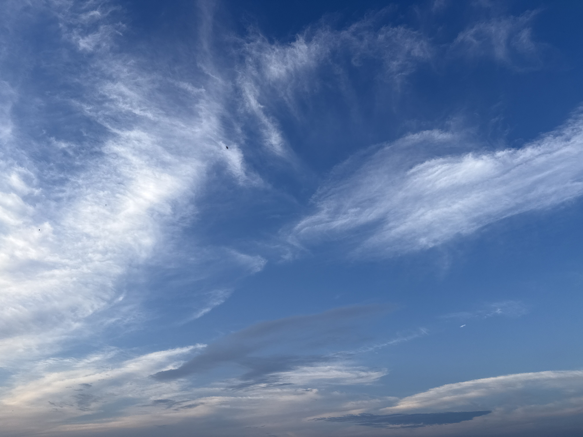 A vast expanse of blue sky is filled with wispy white clouds, characteristic of cirrus clouds. These delicate formations are spread across the upper atmosphere, with some appearing more dense and opaque, while others are thin and feathery, streaking across the frame. The lower portion of the sky shows a gradient of lighter blues and grays, hinting at clouds closer to the horizon. There are no discernible structures, people, or animals visible in this aerial or atmospheric view. The image appears to be taken during daylight hours.