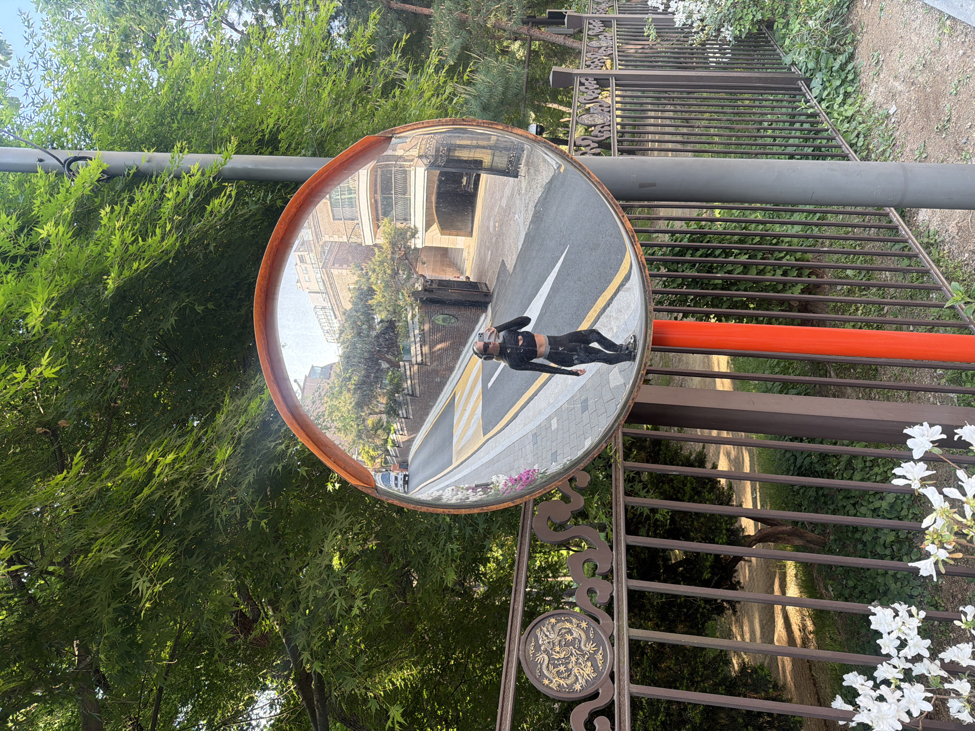 The image shows a convex safety mirror attached to a gray metal pole with an orange crossbar, located next to an ornate metal fence featuring a decorative dragon medallion, situated alongside a street in Seoul, South Korea. The mirror reflects a street scene, including a building with a light-colored façade, a marked crosswalk with yellow lines, and a partial view of a parked white vehicle. A person wearing dark athletic clothing and headphones is reflected in the mirror, holding a phone to take a picture of themselves. Lush green foliage is visible in the background. White flowers are present in the foreground, adjacent to the fence.