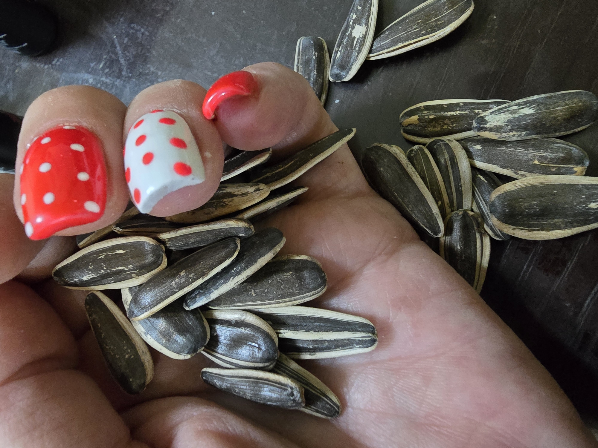 A close-up shot shows a person's hand holding a pile of striped sunflower seeds. The person has brightly painted toenails with red and white polka dot designs, and one toenail is painted solid red. The background appears to be a dark, textured surface, possibly a wooden table. The scene is indoors, and there is no specific indication of its location within Nova Kakhovka, Ukraine.