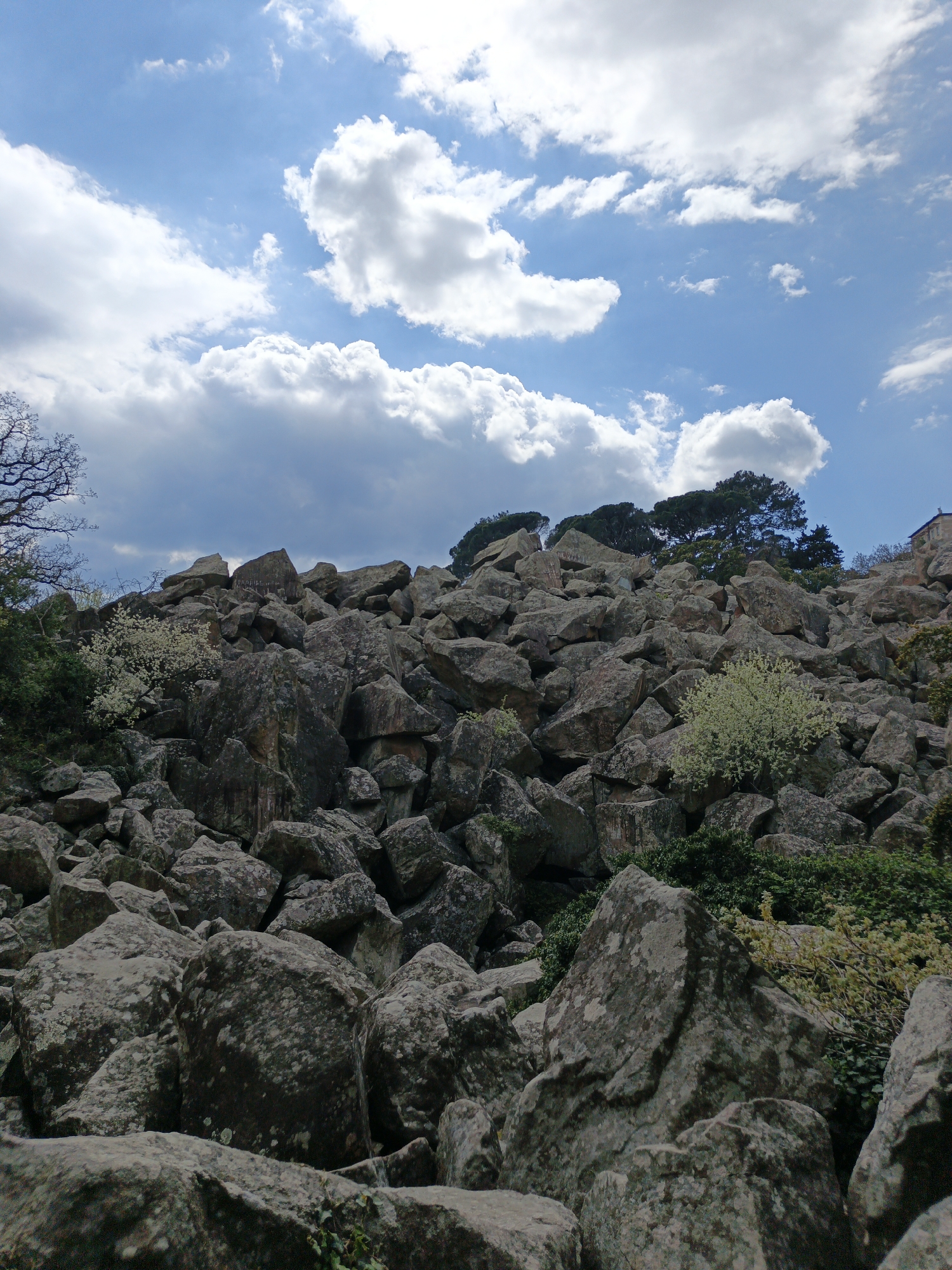 A low-angle shot displays a boulder field under a partly cloudy sky. The boulders vary in size and shape, with some vegetation interspersed among them. Trees are visible at the top of the field. The location is in the city of Алупкинский городской совет, Ukraine.