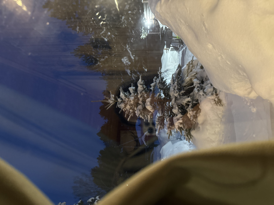 This image captures a nocturnal winter scene in Sysert, Russia, viewed through a reflective window. The foreground features a blurred, light-colored fabric object, positioned diagonally on the left, partially obscuring the view. Diagonal light streaks are visible across the upper portion of the window glass, indicating internal reflections.
Exterior elements are covered in deep, undisturbed snow. A prominent, medium-sized conifer tree, heavily laden with snow, stands centrally in the midground. To its left, partially visible through the snow and window reflections, is a dark-colored structure, possibly a building, with deep snowdrifts around its base. A cleared path or walkway extends from the midground towards the background, situated behind the snow-covered tree. To the right of the tree, further back, an outdoor area includes what appears to be a grill or outdoor furniture, illuminated by a bright, artificial light source mounted on a structure or fence line.
The background consists of a dense treeline of snow-covered conifers against a dark blue night sky. The scene is illuminated by ambient artificial light sources, casting shadows and highlighting the snow. No individuals are present in the visible scene.