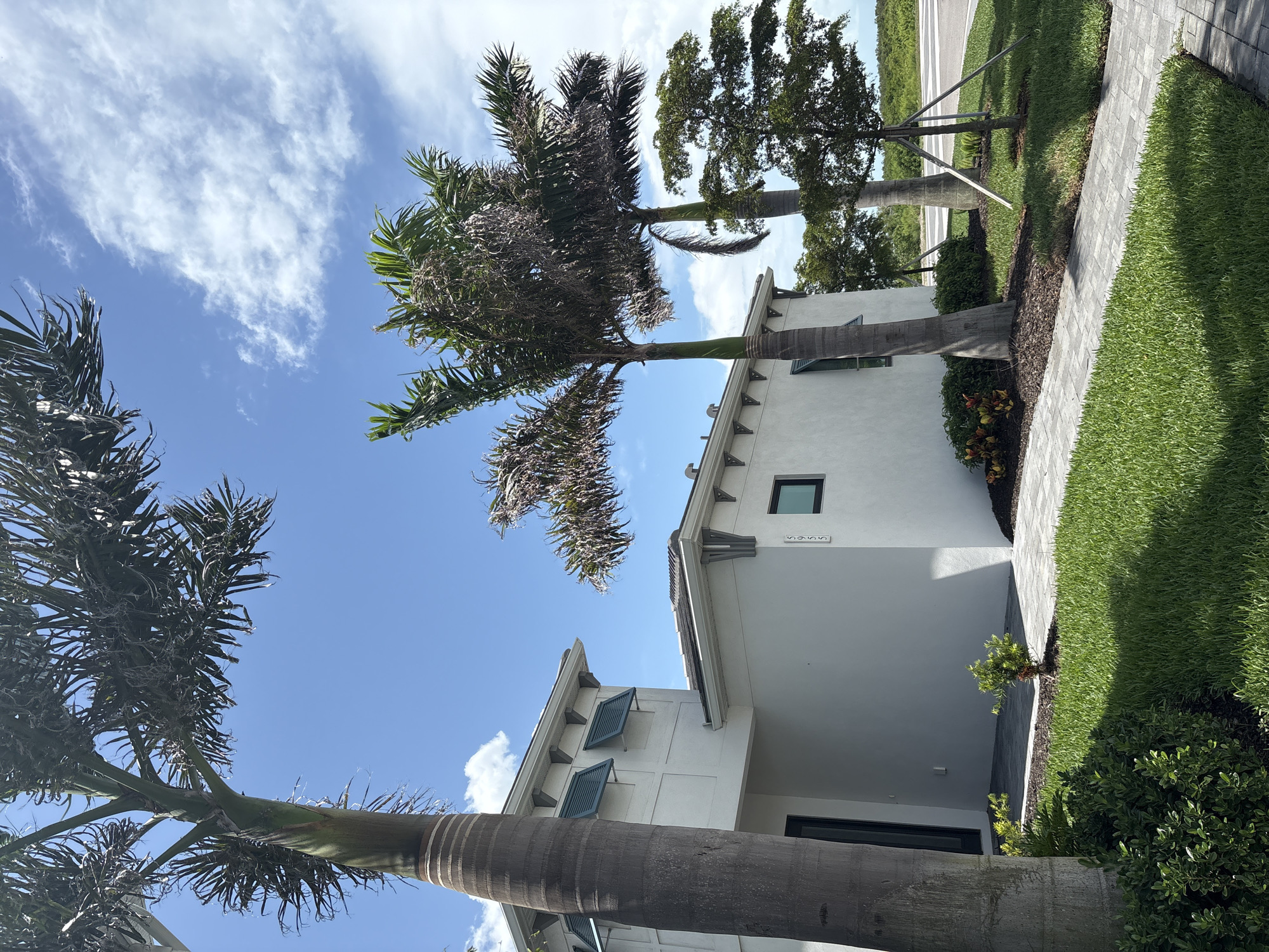 The image depicts a modern white house with a tiled walkway and a neatly manicured lawn, surrounded by lush greenery and palm trees. The house features contemporary architectural elements, including a flat roofline, large windows, and a minimalist facade. The walkway is paved with gray rectangular tiles, creating a clean and orderly path leading to the house. The lawn is a vibrant green, suggesting it has been recently watered and maintained.
Several palm trees are scattered throughout the scene, their fronds swaying gently against the bright blue sky. The sky is dotted with fluffy white clouds, indicating a clear and pleasant day. The overall impression is one of a serene and well-maintained residential property, likely located in a warm climate. The house number "5555" is visible on the facade. The time of day appears to be late morning or early afternoon, given the bright sunlight and distinct shadows. The location context is Bradenton, United States. There are no people visible in the image.