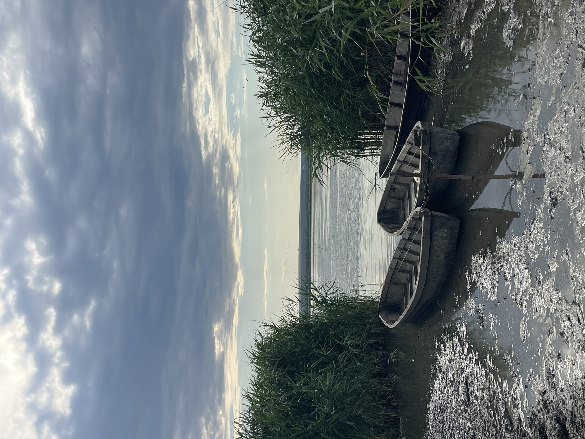 The image depicts a serene natural scene with three wooden boats docked at the edge of a body of water, likely a river or lake, in the city of Manta, Moldova. The boats are weathered and appear to be of a traditional design. They are partially submerged in murky water, with their reflections visible on the surface. The foreground is a muddy bank covered in a thick layer of mud that is reflecting the sky. Lush green reeds or tall grass line the water's edge on both sides, creating a natural barrier and framing the scene. In the background, the water extends to the horizon, where it meets a hazy landscape under a cloudy sky. The clouds are heavy and dramatic, with patches of sunlight breaking through, suggesting an overcast or approaching storm. There are no people visible in the image.