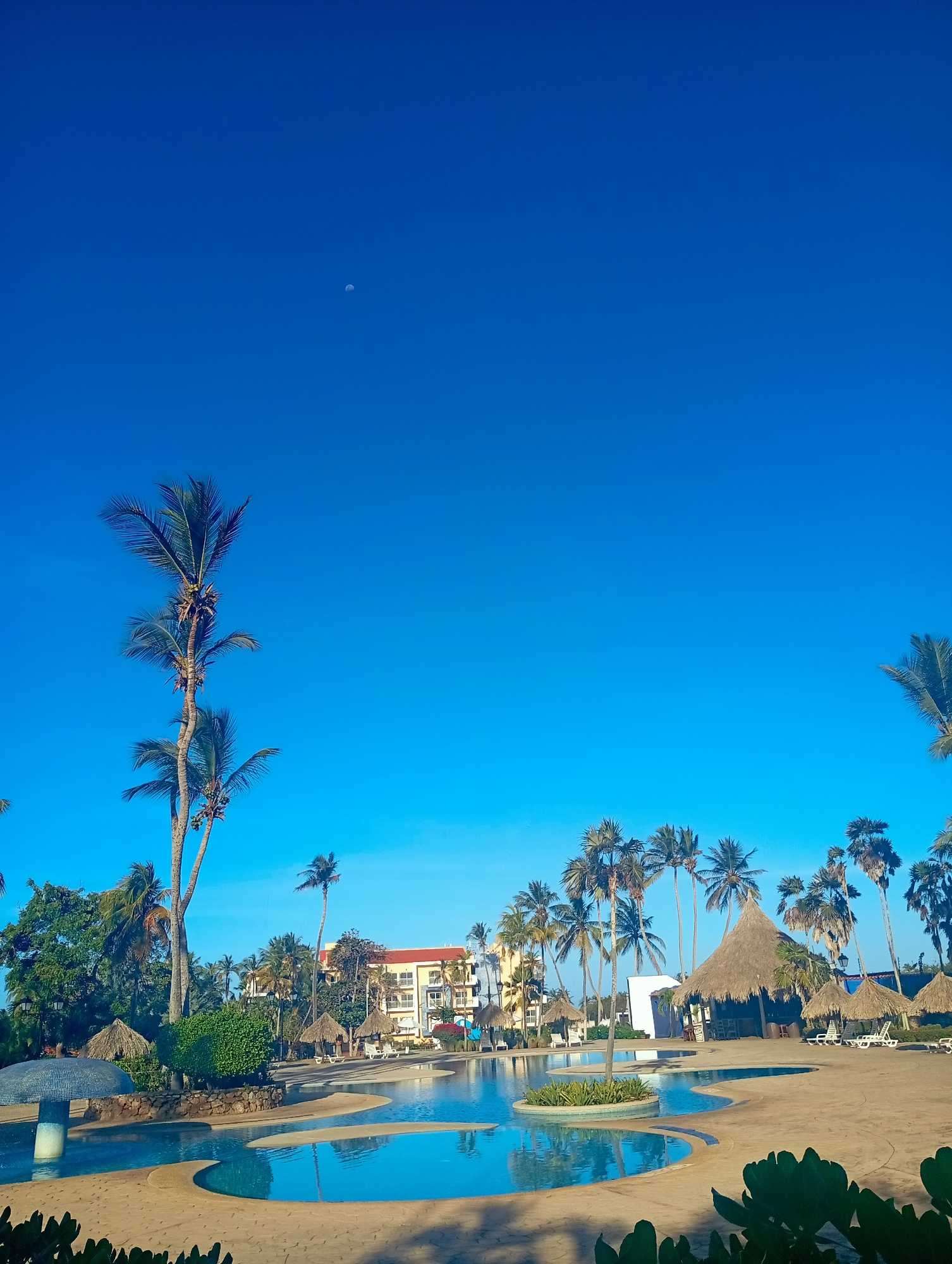 The scene depicts a resort swimming pool area in Playa El Agua, Venezuela, under a clear, bright blue sky. A visible crescent moon is positioned in the upper center of the sky. The foreground and mid-ground are occupied by an irregularly shaped swimming pool with light blue water, featuring multiple small vegetated islands and a mushroom-shaped water feature. The surrounding pool deck is a light-colored, textured surface. Numerous tall palm trees, some with visible coconuts, are scattered throughout the landscape. Several thatched-roof structures, along with white lounge chairs, are arranged around the pool's perimeter. In the background, a multi-story building, likely a hotel, with yellow facades and a red tiled roof, is visible amidst dense tropical foliage. No individuals are present, and no actions or interactions are observed. The environment appears brightly illuminated, consistent with daylight hours.