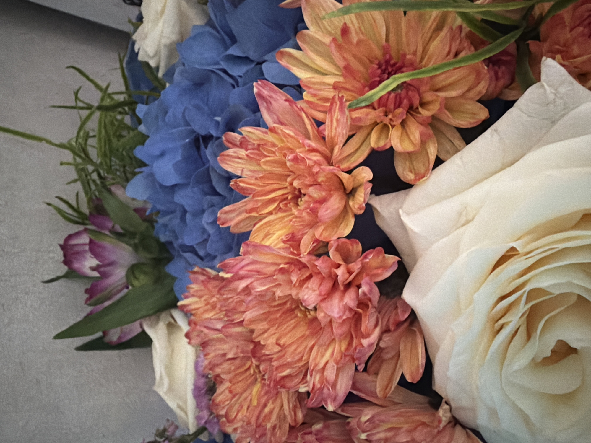 A close-up, slightly grainy, overhead shot shows a floral arrangement featuring several types of flowers. In the foreground, a large, creamy white rose is prominently displayed, with its petals unfurling. Behind the rose, a cluster of bright orange and pink chrysanthemums with delicate, layered petals are arranged. Interspersed among these are vibrant blue hydrangeas, their small florets forming a dense mass. Towards the upper left, hints of purple and pink lisianthus flowers with pointed petals are visible, along with some wispy green foliage. The background is a neutral, textured gray surface. There are no people, actions, or interactions depicted in the image. The scene is a still life of flowers, and the provided location information, Petropavlovsk-Kamchatsky, Russia, is external context not visually present in the photograph.