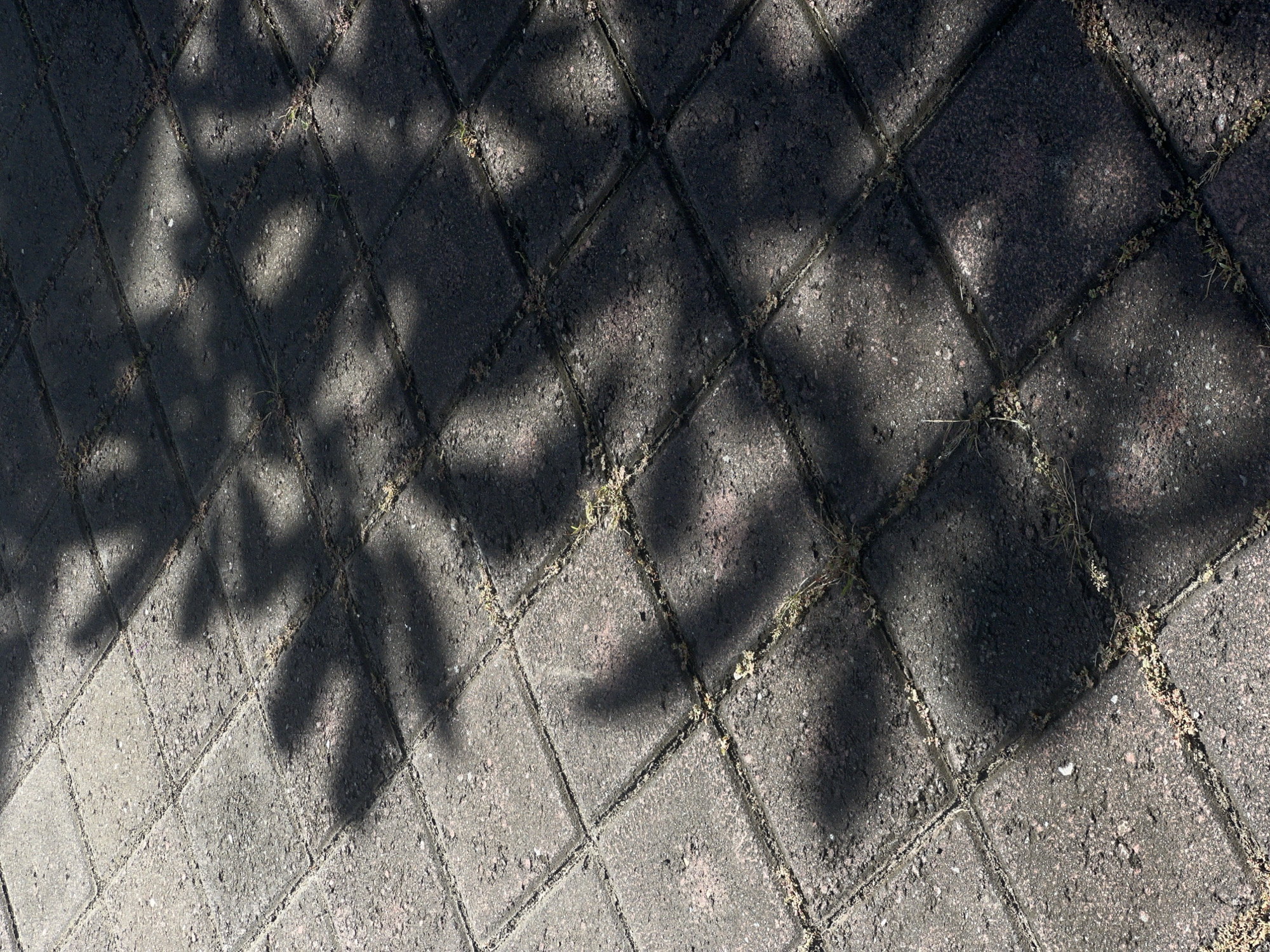 The image shows a section of a paved walkway or patio made of square, grey pavers. The pavers are laid diagonally, and the gaps between them are visible. Patches of green grass or moss grow in some of the joints. Shadows of leaves and branches are cast across the pavers, creating a pattern of light and dark. The scene is likely outdoors. There is no evidence of people or animals in the picture. The description of the location in North Kuta, Indonesia is based on the instruction. No specific details within the image indicate a unique geographic location.