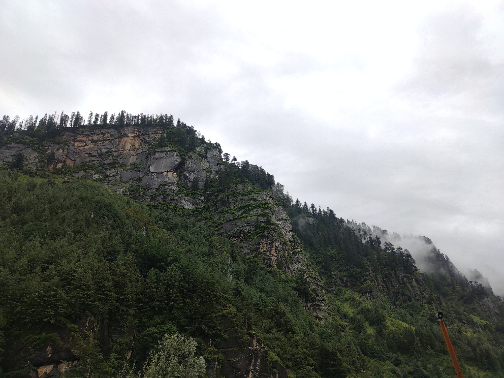 The image shows a steep, rocky mountainside covered in dense green pine trees. The sky is overcast with gray clouds. The terrain is rugged and uneven, with the trees clinging to the slopes and rocky outcrops. In the distance, mist is visible, partially obscuring the upper reaches of the mountains. The lower part of the image shows the tops of more trees and some exposed rock faces. There are no people or animals visible in the image. A tall, metallic structure, possibly a power line pylon, is partially visible on the mountainside, as is a section of orange piping with a dark cap.