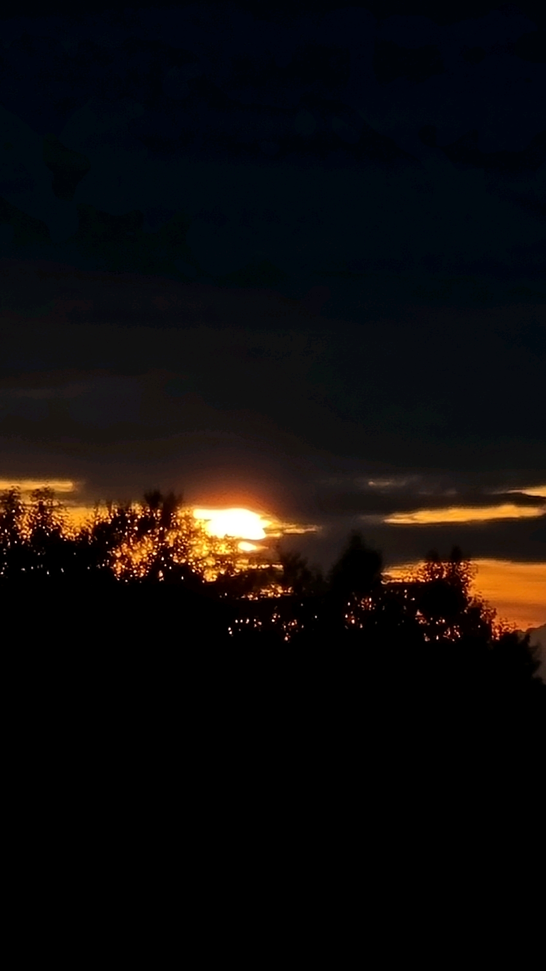 A dramatic sunset unfolds over the silhouette of trees in the city of Vysokoe, Russia. The sun, a bright, luminous orb, peeks through a gap in dark, brooding clouds, casting an intense golden glow that highlights the edges of the foliage. The lower portion of the image is dominated by the dark, almost black, shapes of trees, their branches and leaves forming a dense, textured line against the vibrant sky. The upper sky is a deep, dusky blue, with subtle variations in tone suggesting more distant clouds or the lingering twilight. The overall impression is one of a fleeting moment of natural beauty, with the stark contrast between the dark foreground and the brilliant sky creating a powerful visual impact.