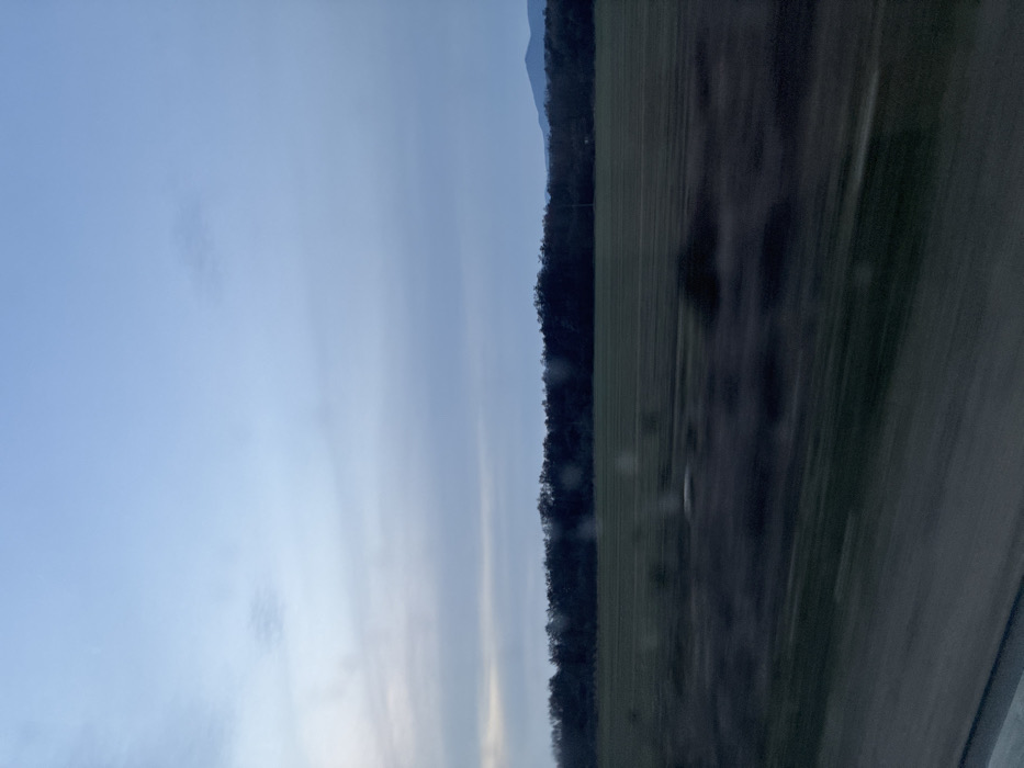 The image depicts a rural landscape near the city of Gabarevo, Bulgaria, observed from a moving perspective, indicated by motion blur in the lower foreground. The upper portion displays a pale blue-grey sky with diffuse, horizontal cloud formations. A dense, dark treeline spans the mid-distance, separating the sky from an expansive, flat, green-brown field below. Faint linear patterns are present within the field, suggesting agricultural activity. Distant, indistinct mountains are visible on the far right horizon, behind the treeline. The scene is illuminated by subdued natural light. No individuals, animals, or prominent man-made structures are discernible within the frame.