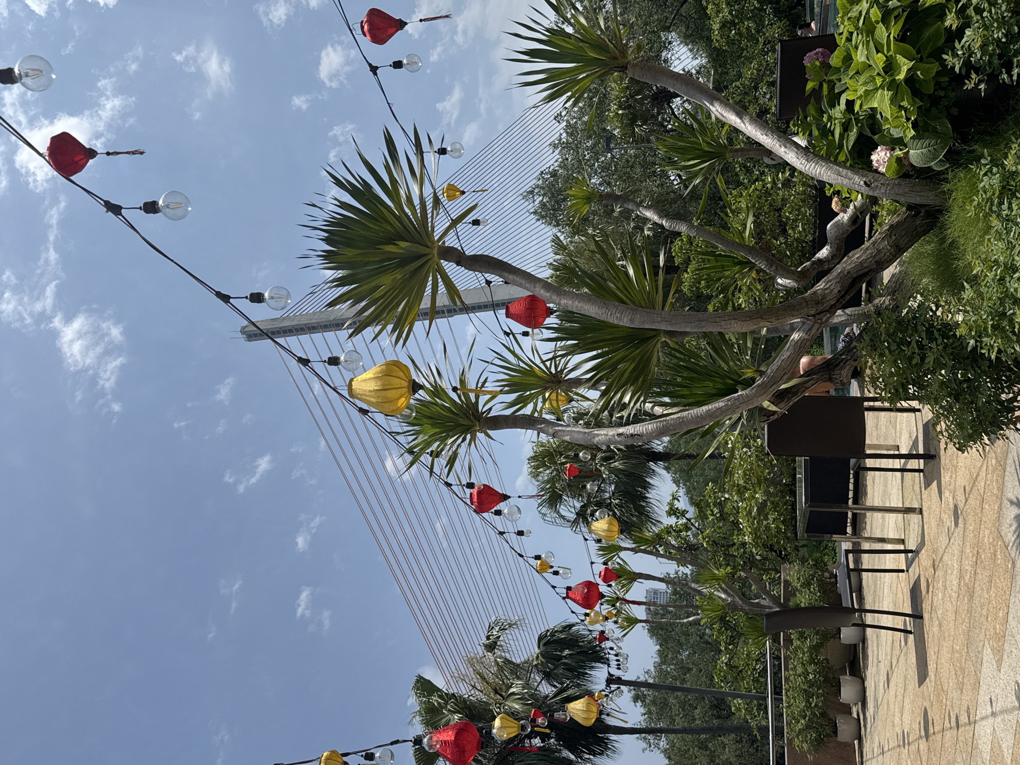 The image depicts a partially obstructed view of the Trần Thị Lý Bridge in Đà Nẵng, Vietnam. The bridge's white support tower and suspension cables are visible against a blue sky with scattered clouds. The foreground features several trees with palm-like foliage, decorated with strings of lights interspersed with red and yellow lanterns. The view is from a patio with outdoor furniture, including tables and chairs, suggesting a café or restaurant setting. Lush greenery surrounds the patio area. People are faintly visible, seated at the tables and interacting with the setting.
