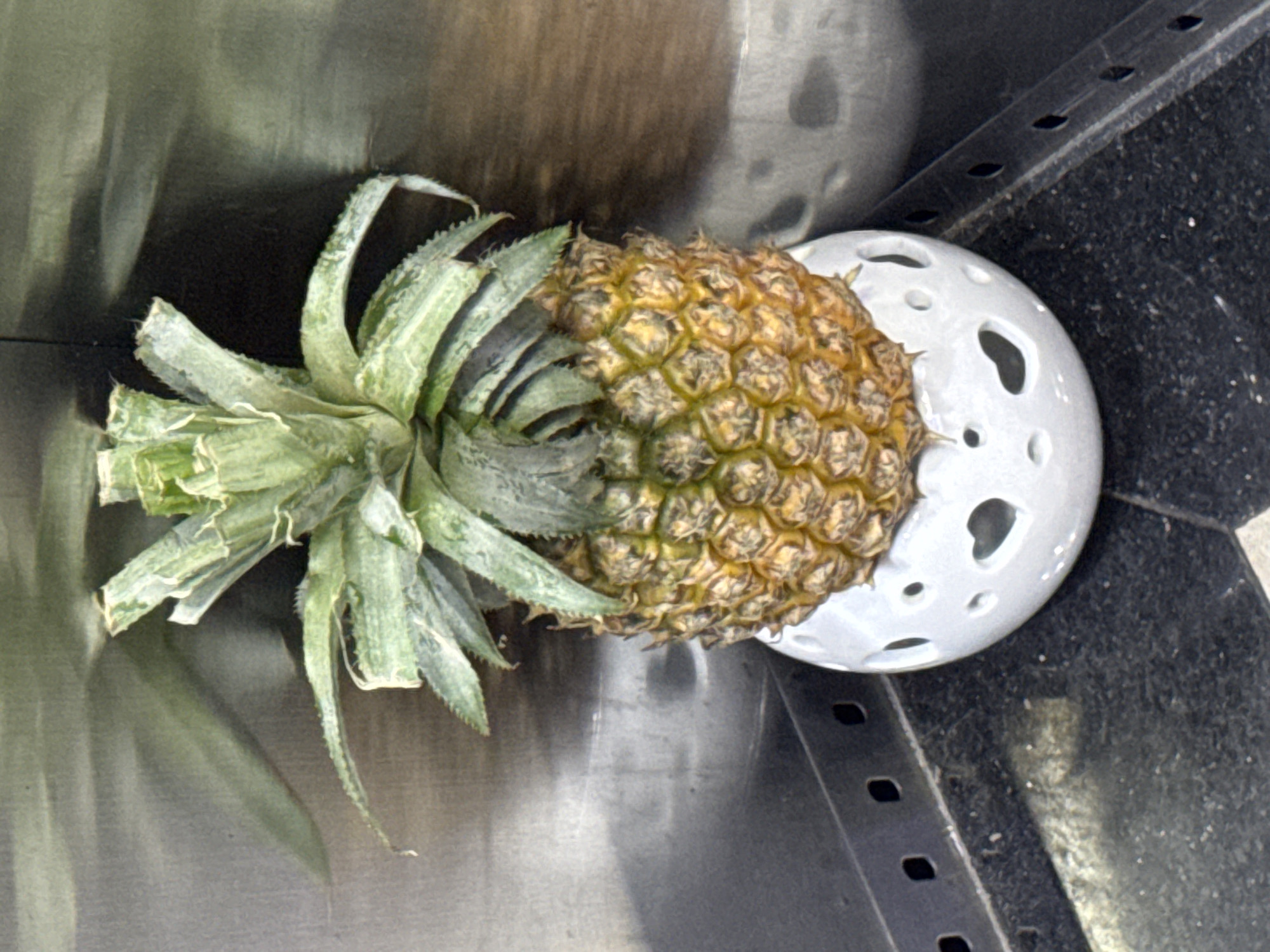 A pineapple with green leafy fronds is placed in a white decorative pot with heart-shaped cutouts. The pot sits on a black speckled surface, which is part of a shelf or counter. Behind the pineapple and pot, a metallic, reflective surface creates shadows. To the left of the pineapple, a black metal shelf with evenly spaced rectangular holes is visible. The overall scene appears to be indoors, possibly in a kitchen or a display area. There are no people or animals present in the image. The location in Hà Nội, Vietnam, is not discernible from the visual information provided in the image.