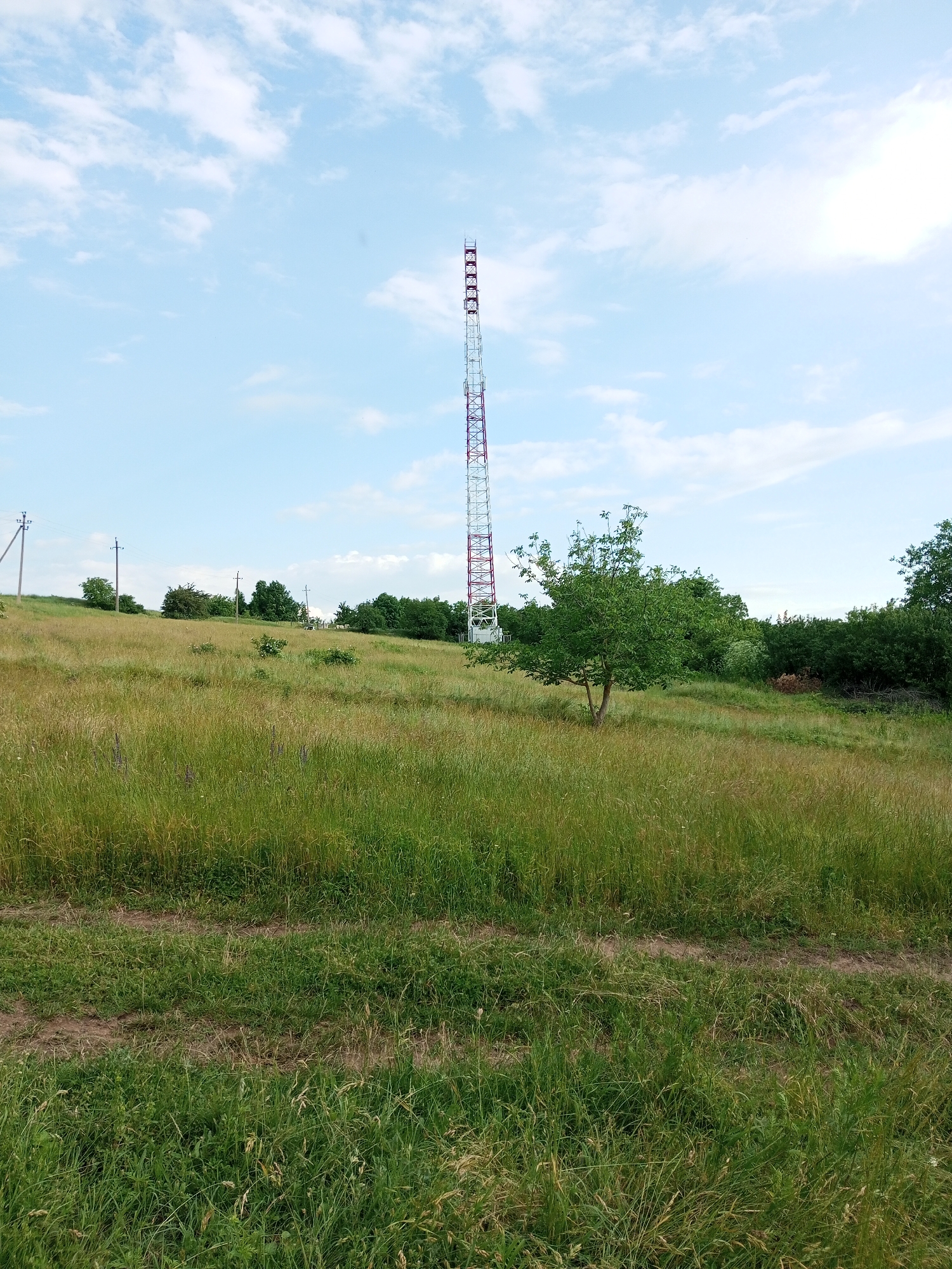 The image shows a tall, red and white striped telecommunications tower on a grassy hill under a partly cloudy sky. In the foreground, there is a dirt path running through tall green grass. Several trees are scattered across the landscape, with a denser cluster of trees in the background. Utility poles with power lines are visible on the left side of the image. The scene appears to be in a rural or semi-rural area, possibly within the Ароматновское сельское поселение in Ukraine.