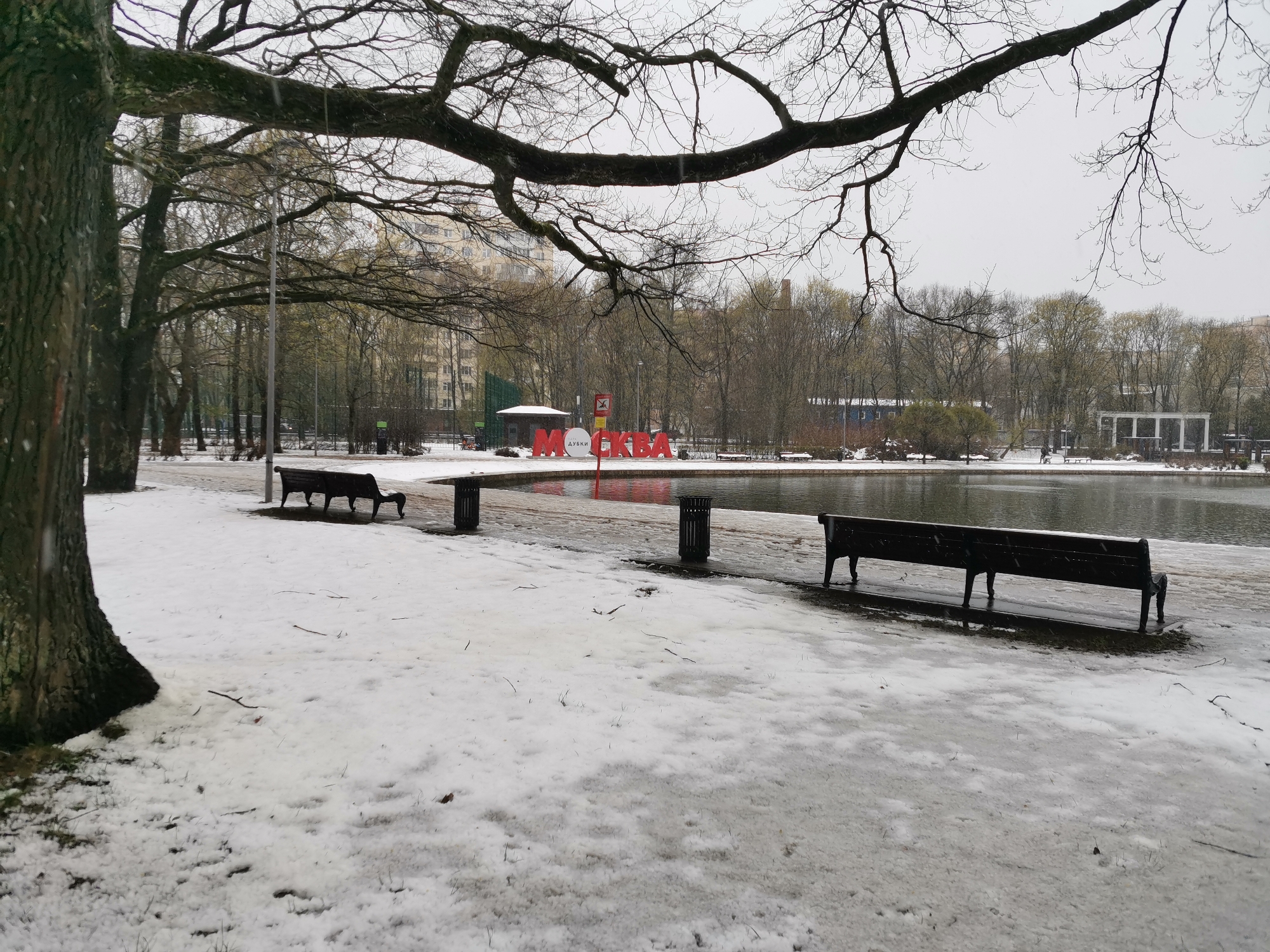 This image depicts a serene, snow-dusted park scene, likely Dubki Park in Moscow, Russia, during a grey, overcast day in late winter or early spring. A thin, patchy layer of snow covers the ground, indicative of recent snowfall or melting. The branches of large, bare trees, some with subtle signs of early budding, frame the upper portion of the photograph.
In the foreground, a substantial tree trunk stands prominently on the far left. The scene features a calm pond or lake on the right, its surface reflecting the dull sky. Along the snowy pathway bordering the water, two dark wooden park benches and two cylindrical trash bins are visible.
Across the pond, a prominent red letter installation spells out "МОСКВА" (MOSKVA/MOSCOW), with "ДУБКИ" (DUBKI) written in smaller white letters beneath it, clearly identifying the location as Dubki Park. Near this installation, a small white building with a red roof and a red "no entry" sign with a white 'X' are discernable. In the background, through the skeletal trees, urban apartment buildings rise. On the far side of the water, a white colonnade or pergola structure adds architectural interest, with a few indistinct figures walking nearby.
The weather is cold and overcast, contributing to a quiet and somewhat melancholic atmosphere. No specific event is taking place, rather it captures a typical cold day in a city park.
