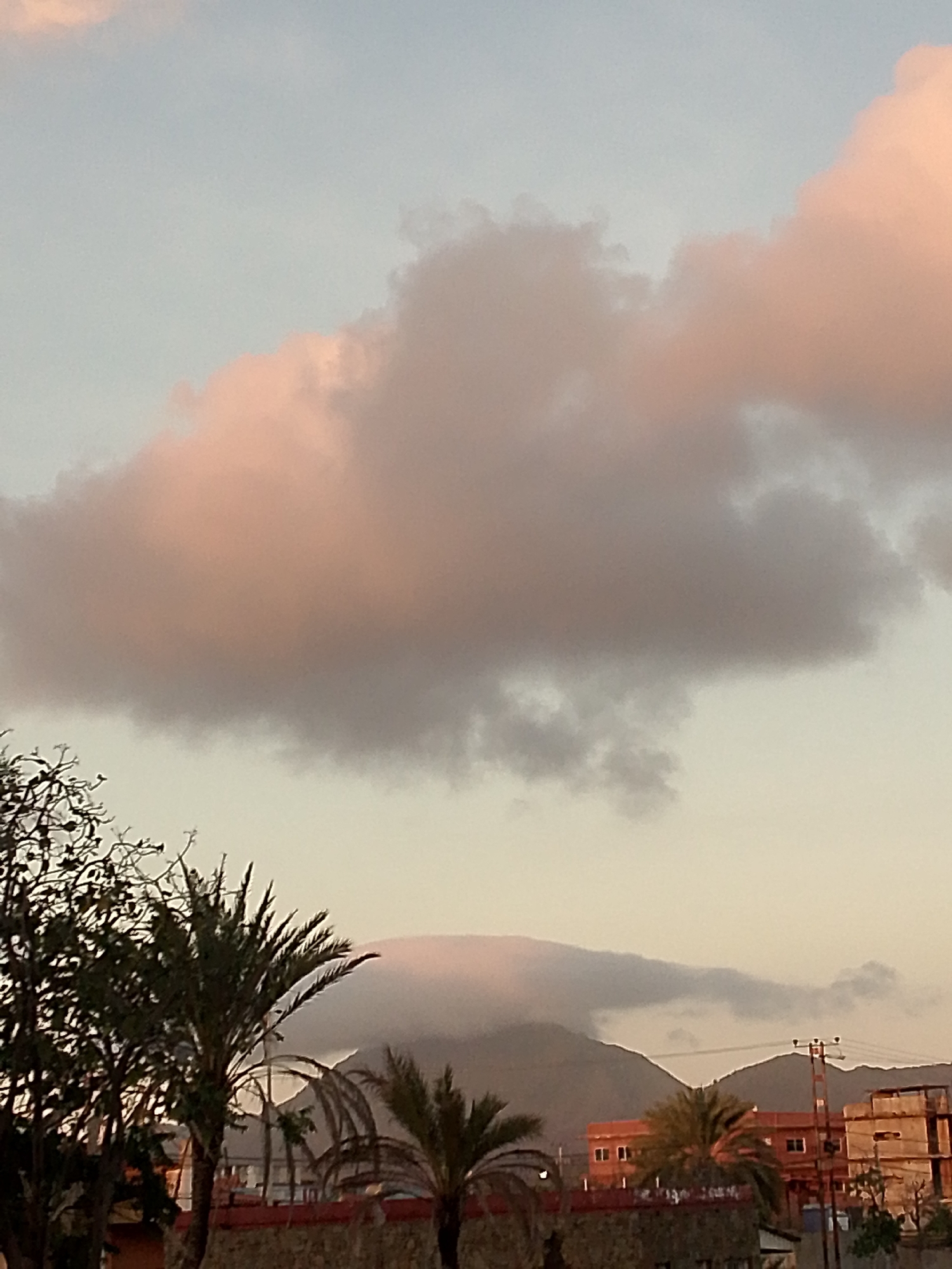 The image depicts an outdoor scene in Altagracia, Venezuela, under conditions of low-angle sunlight, indicating either dawn or dusk. The sky occupies the upper two-thirds of the frame, displaying a gradient from light blue at the top to a pale yellow or cream near the horizon. Large, dense cloud formations, exhibiting hues of pink, orange, and gray, are prominent across the sky. Below the cloud layer, a range of mountains is visible in the mid-ground, with their peaks partially enveloped by a low-lying cloud or fog bank.
In the foreground and lower mid-ground, dark, silhouetted vegetation is present. This includes several palm trees with visible fronds, and on the far left, a tree with numerous thin, bare branches. A low, reddish-brown wall or barrier is partially visible at the base of the vegetation. Urban structures are situated in the mid-ground: to the right, a two-story building with an orange or terracotta-colored facade and multiple rectangular window openings is seen. Adjacent to this building stands a utility pole supporting power lines. Further to the right, a multi-story concrete structure, appearing to be under construction or unfinished, is visible with exposed rebar and concrete walls. No individuals, explicit actions, or direct interactions are discernible within the image.