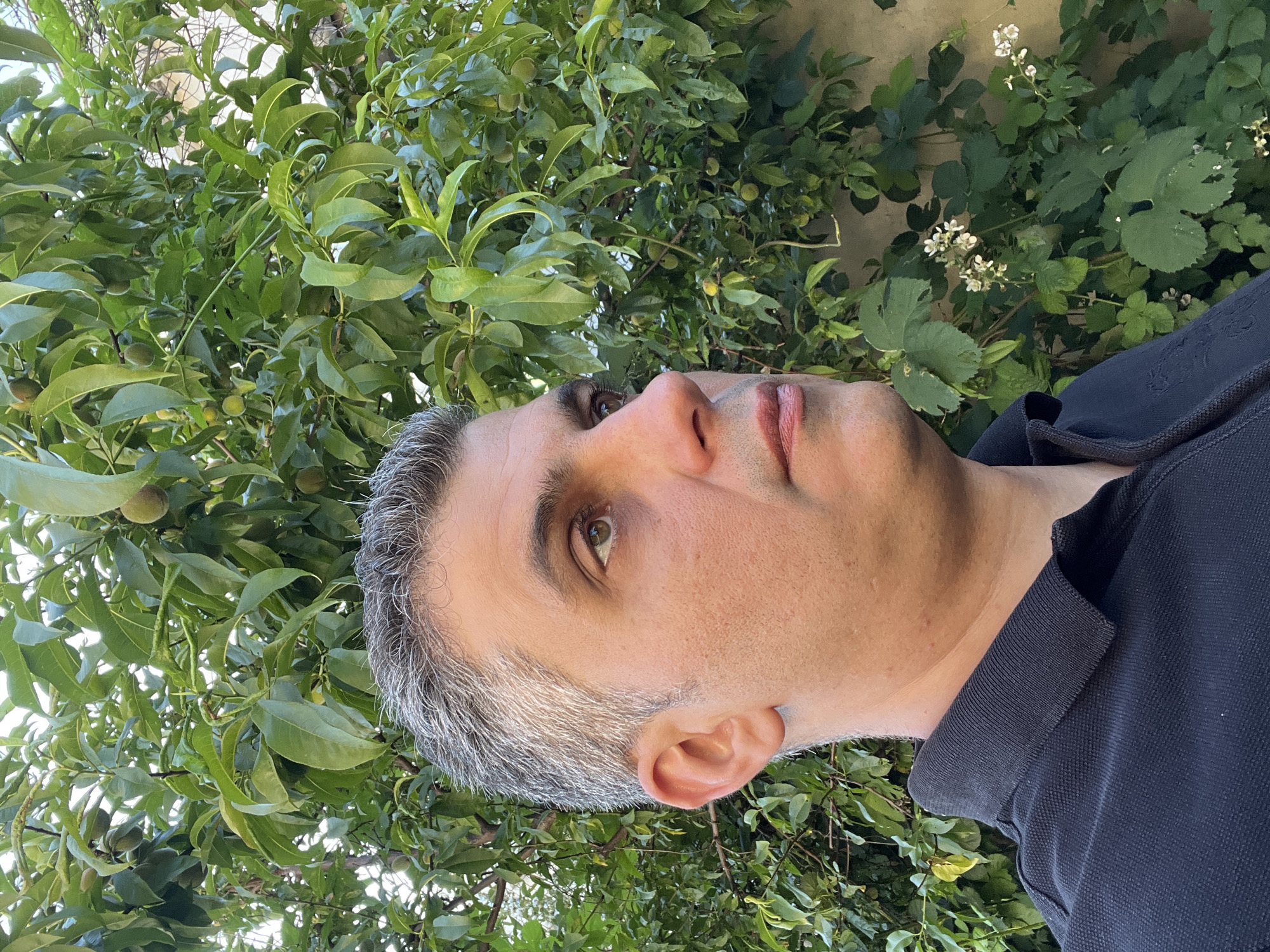 A man with graying hair and a black polo shirt is shown from the chest up, angled to the right. He is outdoors with a backdrop of green foliage and a light-colored wall. Several small green fruits are visible on the trees behind him. There are also some small white flowers on a vine in the lower right portion of the image.