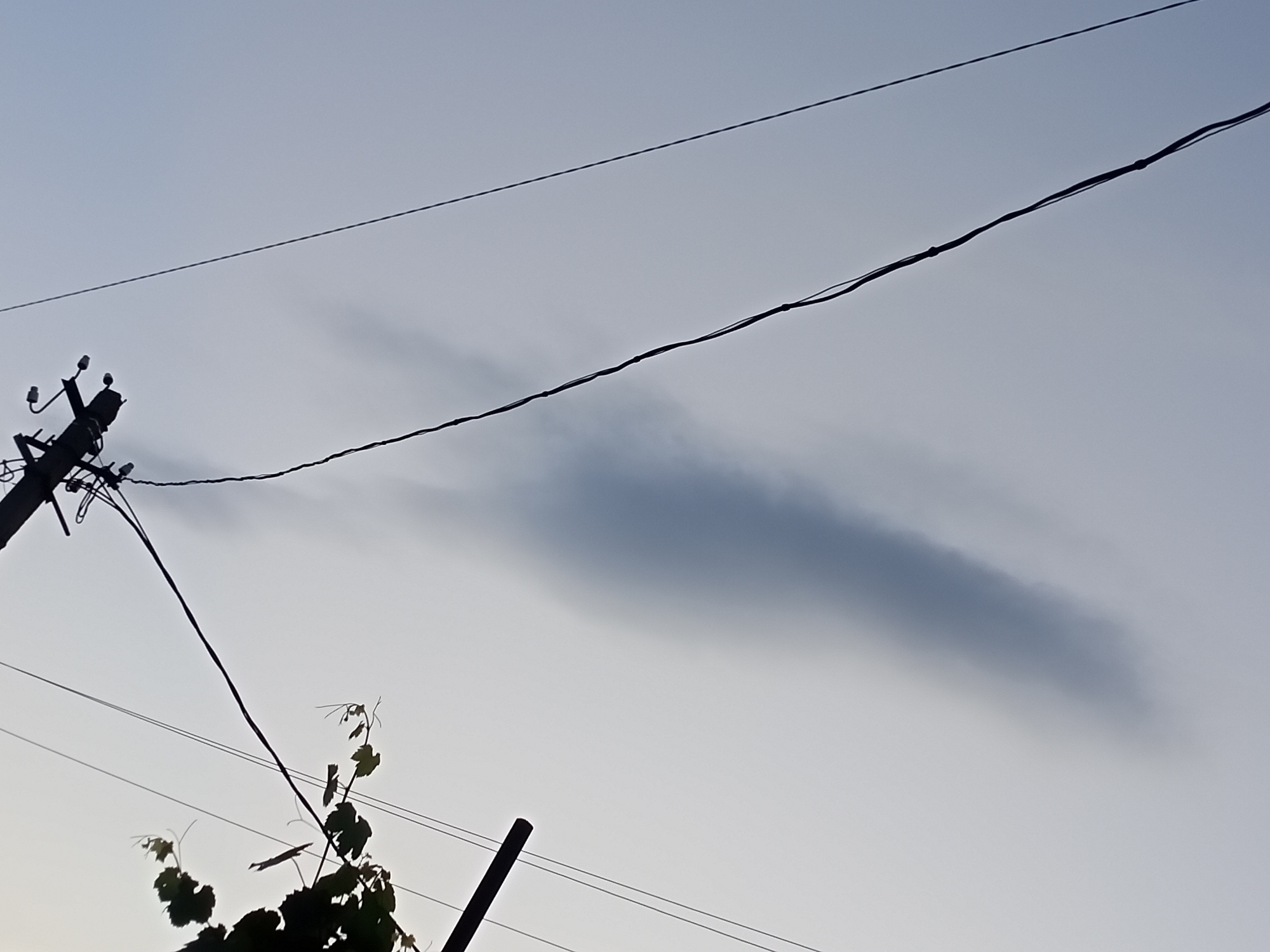 The image depicts a segment of the sky in Sokuluk, Kyrgyzstan, featuring a power line pole with attached wires. A single, elongated cloud is visible, casting a shadow on the sky. In the lower left corner, a plant with leaves is silhouetted against the sky. The overall lighting suggests it is either dawn or dusk.