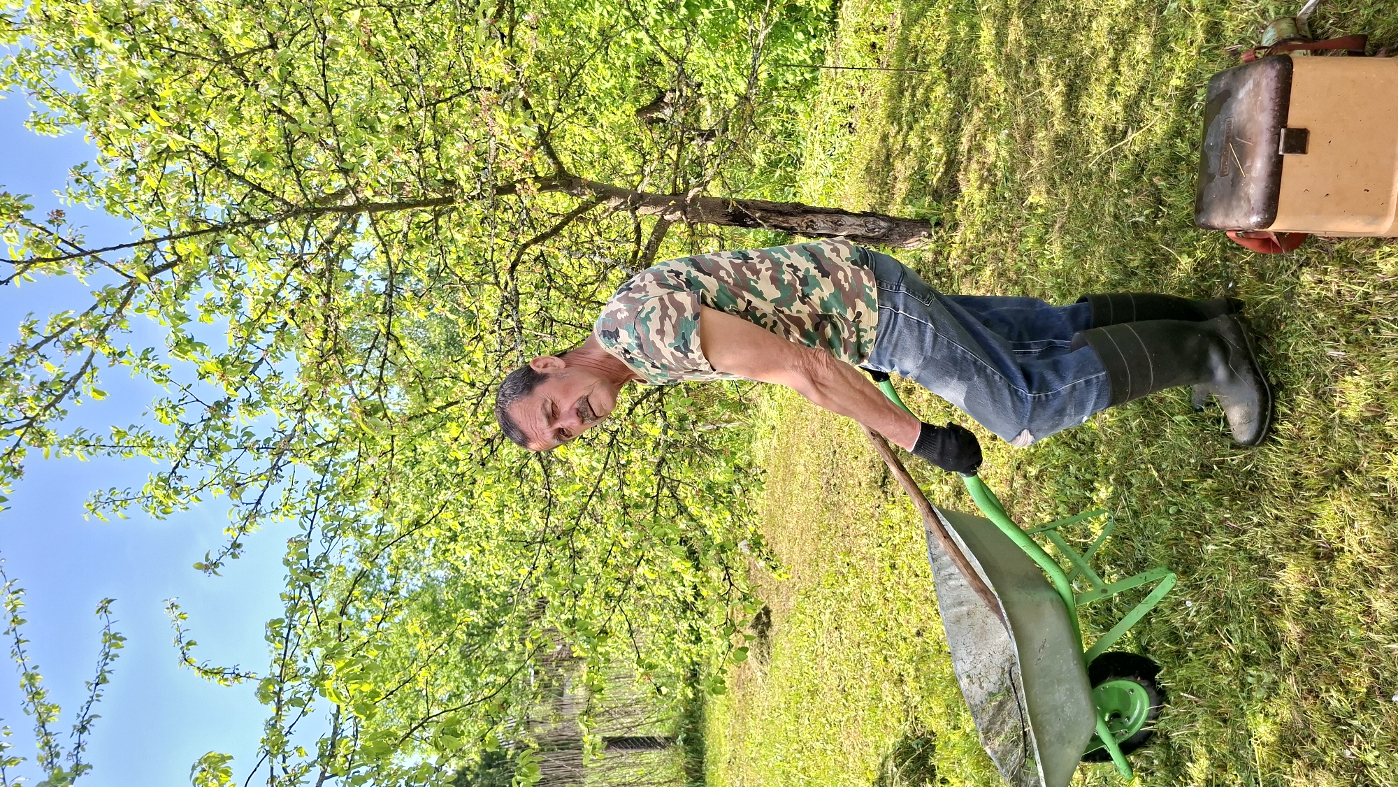 The image captures a man working in a grassy area, likely a garden or orchard, located in Сваткаўскі сельскі Савет, Belarus. He is dressed in a camouflage t-shirt and blue jeans, wearing black gloves and black rubber boots. He is bending over and appears to be pushing a green wheelbarrow with a metal basin.
The background includes lush green foliage, trees, and a clear blue sky partially visible through the branches. A light-colored box-like container rests on the grass to the right of the man. The overall scene suggests a rural or suburban setting.