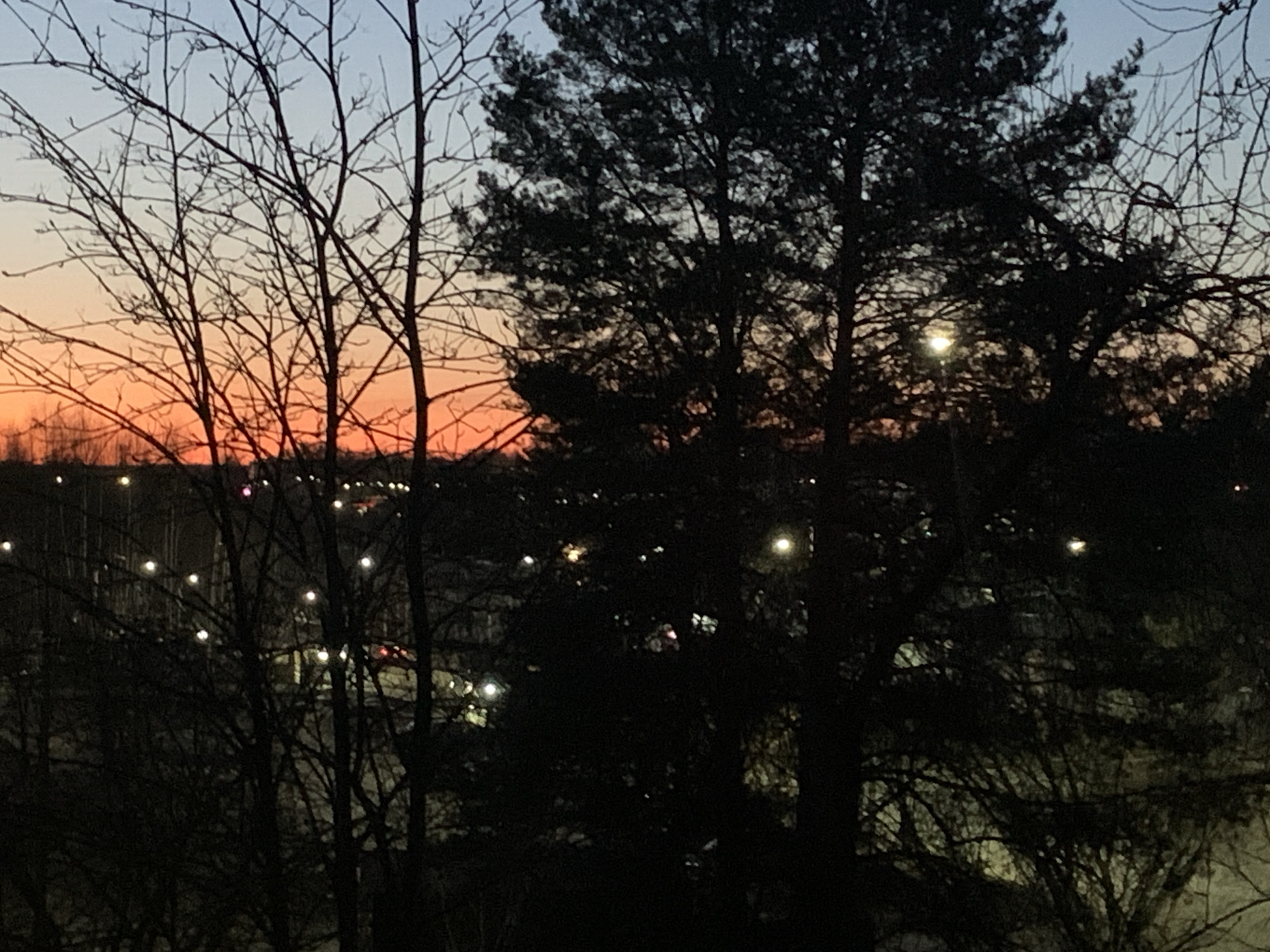 The image depicts a dusk or dawn scene, likely taken from an elevated position overlooking a cityscape. In the foreground, silhouetted trees frame the view. To the left, bare branches of deciduous trees are visible against a backdrop of a gradient sky, transitioning from blue to orange and red. To the right, a darker, fuller evergreen tree dominates the scene. In the middle ground, several lights, likely from streetlights or buildings, punctuate the darkness. The lights suggest an urban or suburban setting. There is no information in the photo that enables identification of the city of Chaikovsky, Russia. People, actions, and interactions are not discernible in the image. The environment appears to be urban or suburban, with a mix of vegetation and infrastructure.