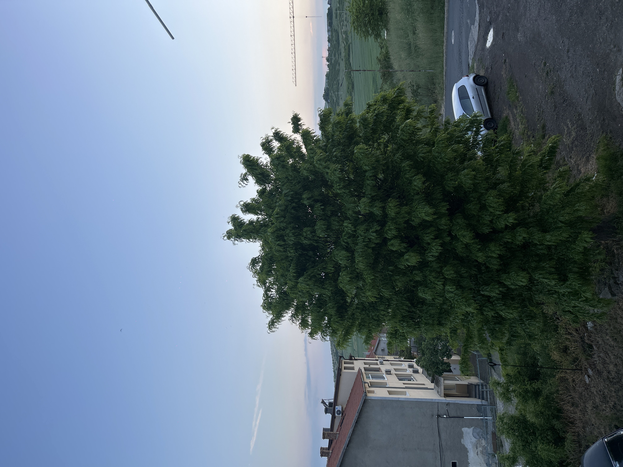 The image shows an outdoor scene in Burgas, Bulgaria, likely taken from an elevated position. A large tree dominates the midground, partially obscuring a light beige building with a red tile roof. A light-colored car is parked on a road adjacent to a grassy field. A construction crane is visible in the distance against a light sky. The overall impression is of a quiet residential or suburban area.