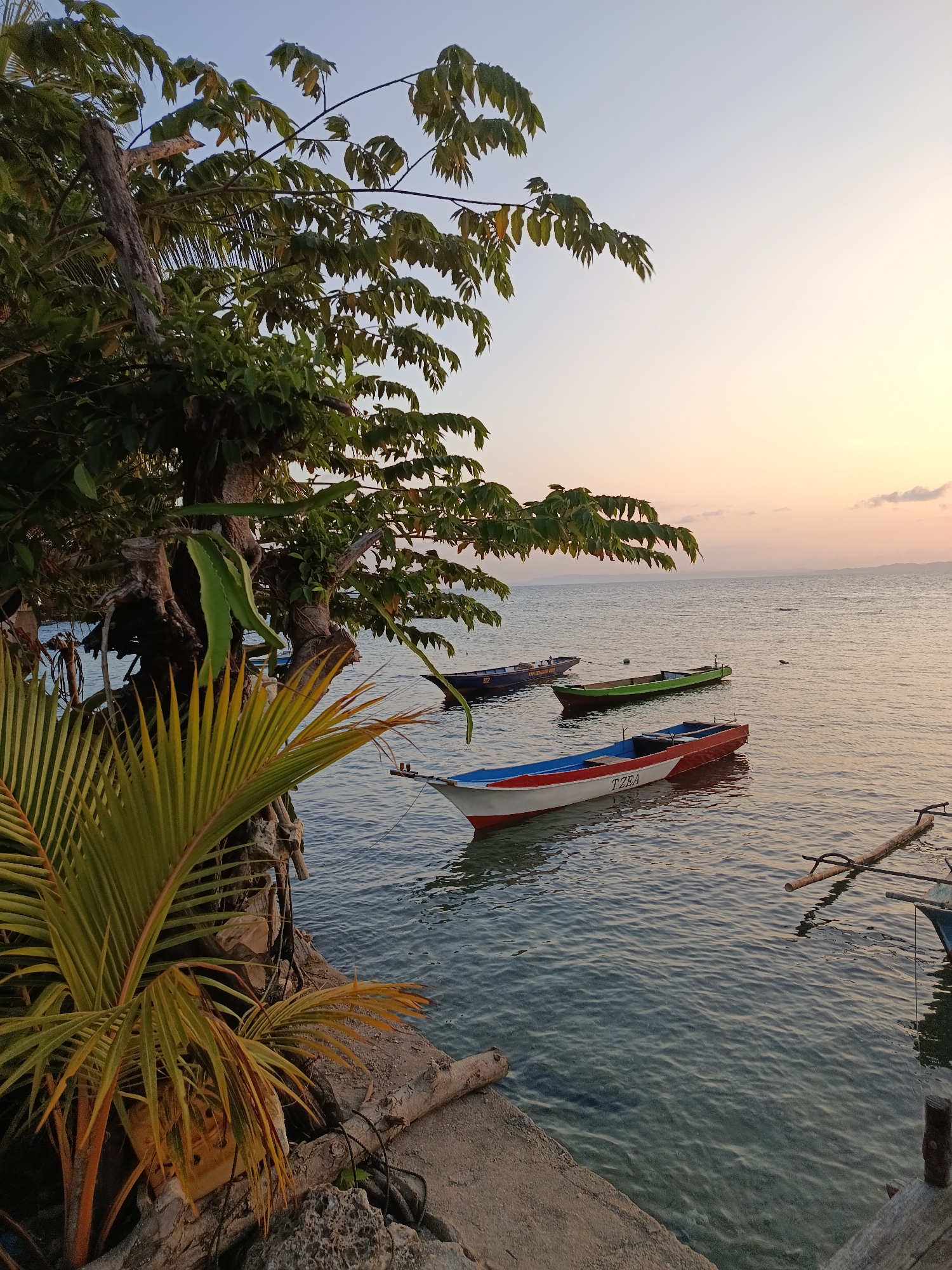 In the city of Mansalean, Indonesia, at the tranquil shoreline, several boats are anchored in the crystal-clear waters. A palm tree, with its fronds casting a verdant glow, stands tall near the water's edge, complemented by the lush foliage of another tree. The sky, painted with hues of orange and pink, hints at the gentle descent of the sun, casting a warm glow over the scene. The water, still and reflective, mirrors the serene ambiance, with the distant horizon gently meeting the sky.
