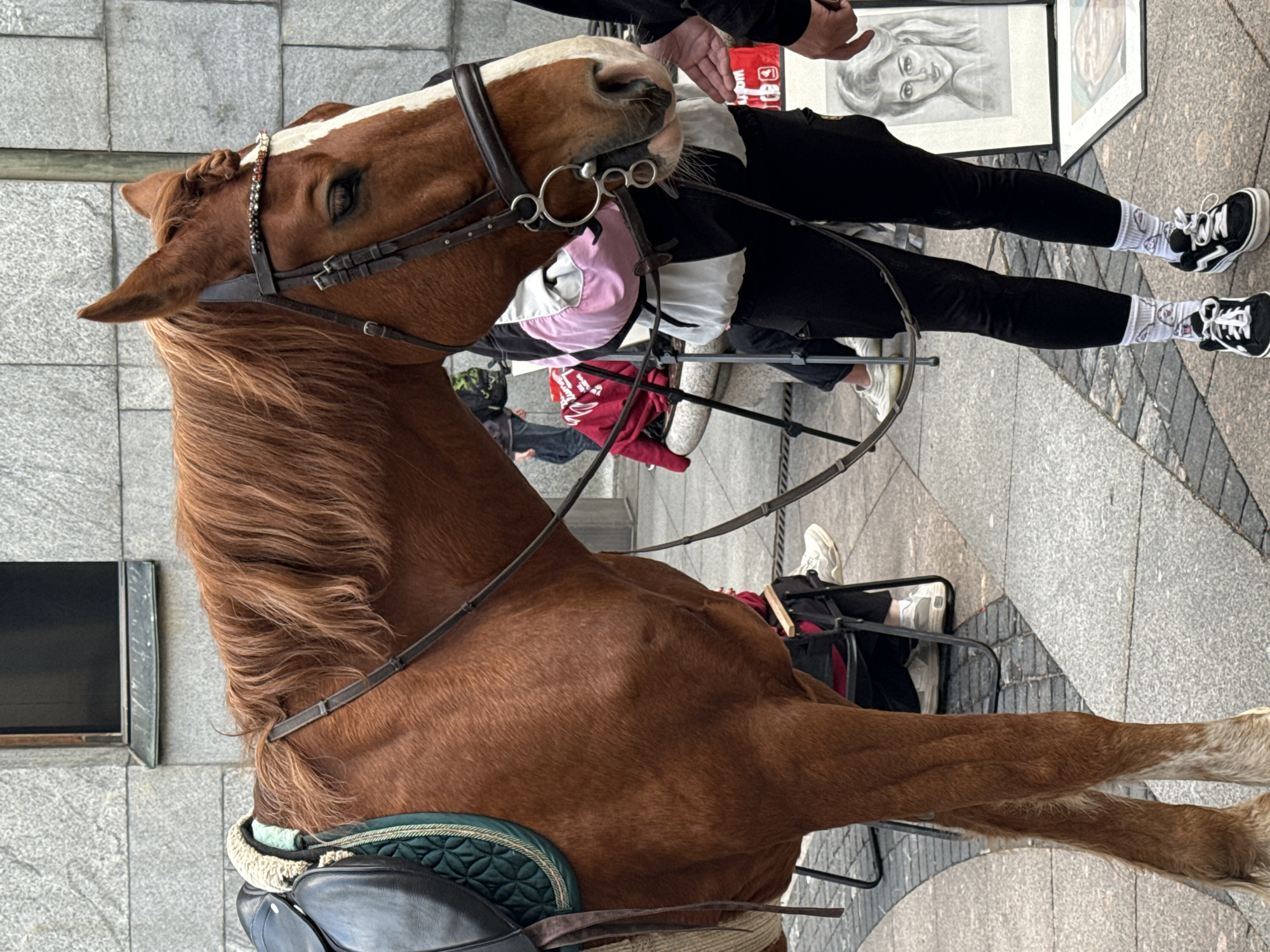 The image shows a chestnut horse with a white blaze on its face, standing on a grey stone paved surface. The horse is wearing a bridle with metal rings and a decorative browband. A saddle with a dark green quilted pad is visible on its back.
In the background, several people are present. One person, wearing black leggings and white socks with cartoon prints, is standing with their legs crossed, showcasing a pair of black sneakers. To their right, there are framed drawings of faces, suggesting an art display or sale. Another person is partially visible in a pink top and black pants. Further in the background, other individuals are seen, some seated on chairs or the ground.
The scene appears to be outdoors, likely in a public urban space in Saint Petersburg, Russia, given the stone pavement and the general atmosphere. The lighting suggests it could be daytime. There is no clear indication of the weather conditions. The activity taking place seems to be related to a street performance or a market, with the horse potentially being part of a display or offering rides. The mood is casual and everyday. No legible text is visible in the image.