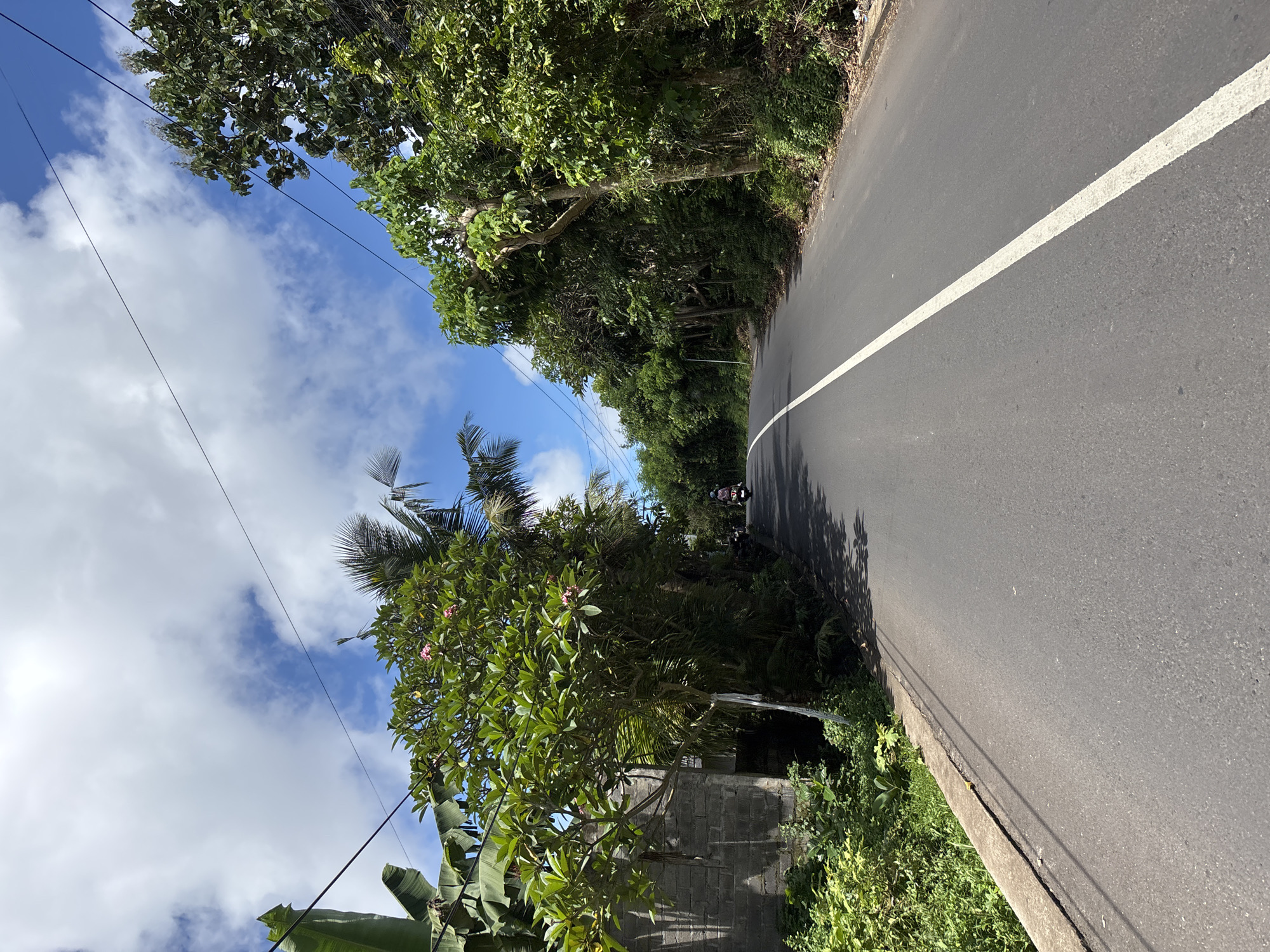 The image depicts a paved road with a solid white line marking the center, likely in Ungasan, Indonesia, given the tropical vegetation. Lush green trees line both sides of the road, partially obscuring the sky, which is visible through gaps in the foliage and shows a blue expanse with white clouds. Power lines are visible stretching across the sky. In the distance, what appears to be a person on a moped can be seen on the road. Closer to the foreground, a grey cinderblock wall borders the roadside, with various plants and trees growing alongside it. The perspective suggests the photo was taken from a low angle, with the camera pointed upwards.