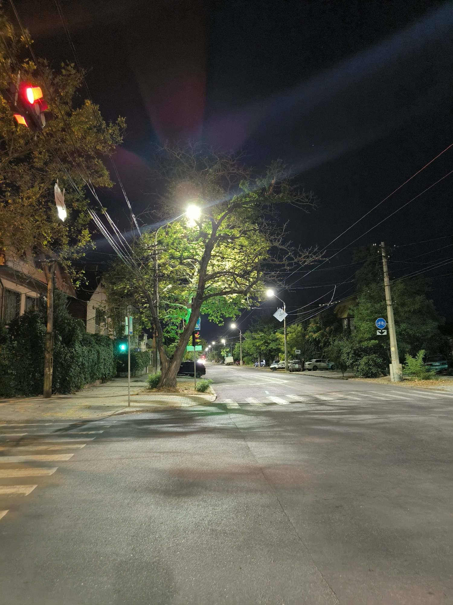 This is a nighttime photograph taken on a street in Mykolaiv, Ukraine. The image shows a street intersection with a crosswalk in the foreground. A large tree with illuminated green leaves stands near the right side of the intersection. Streetlights cast a yellow glow on the tree and surrounding area. Traffic lights are visible, with one showing a red signal. Several cars are parked along the street. Buildings and dense foliage line the left side of the street. Overhead power lines crisscross the sky. The road surface is asphalt, and the pedestrian crossing is marked with white stripes. The overall atmosphere is quiet and still, illuminated by artificial light against the dark night sky.
