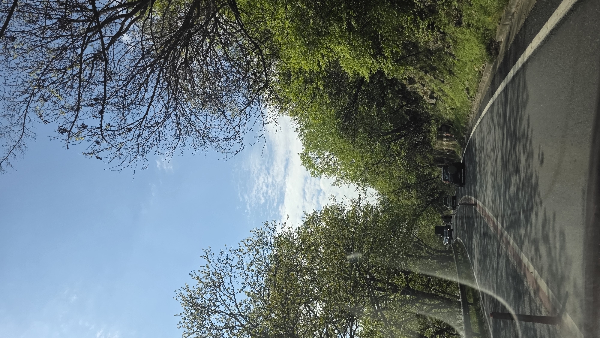 The image depicts a road near Stara Kresna, Bulgaria. The view is from inside a vehicle, looking forward down a two-lane road. Trees line both sides of the road, forming a canopy overhead. The sky is visible through gaps in the trees, showing blue sky and white clouds. Several cars are visible on the road ahead. The road markings include a solid white line on the edge of the road and red lines towards the center.