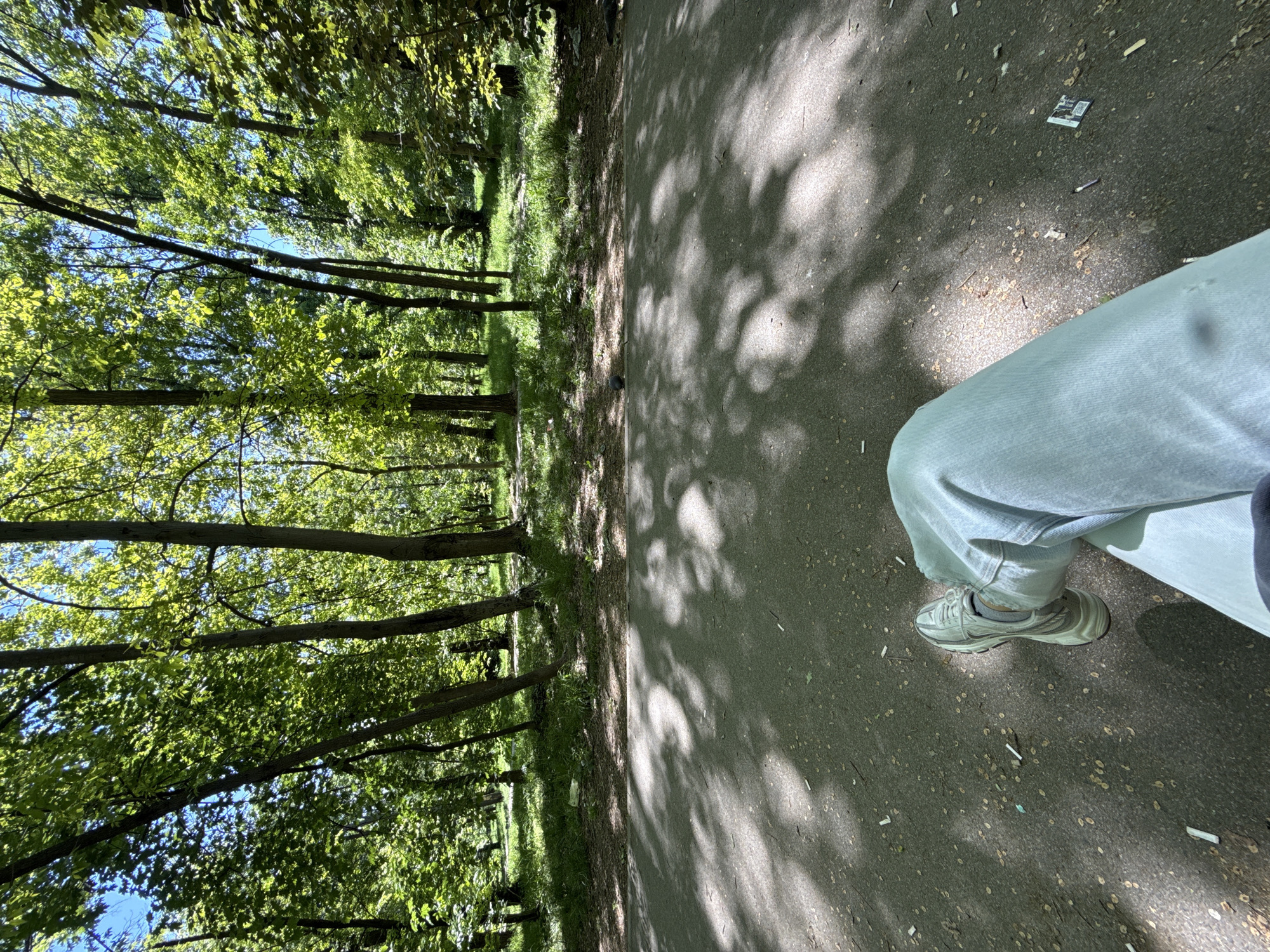 The image shows a person standing on a paved path in a park. The left side of the frame features a dense row of trees with green foliage. The right side is the paved path, covered in shadows from the trees, with visible litter. The person is wearing light-colored jeans and sneakers. The environment suggests a park setting within a city or town. There is no readily available information to ascertain that this photo was taken in the city of Vozdovac Urban Municipality, Serbia.