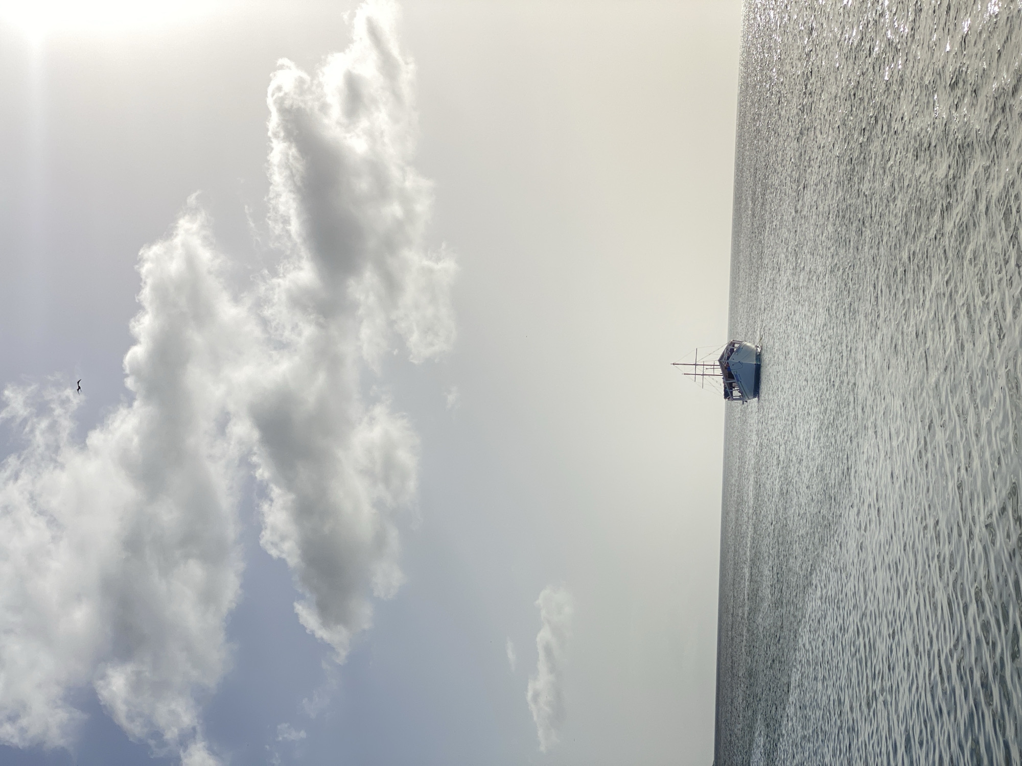 A horizontal view of a body of water next to a cloudy sky. A sailboat is visible on the water. There appears to be a bird flying to the left of the clouds. The scene is a landscape, not an urban scene. Juan Griego, Venezuela, is not discernable from the image.