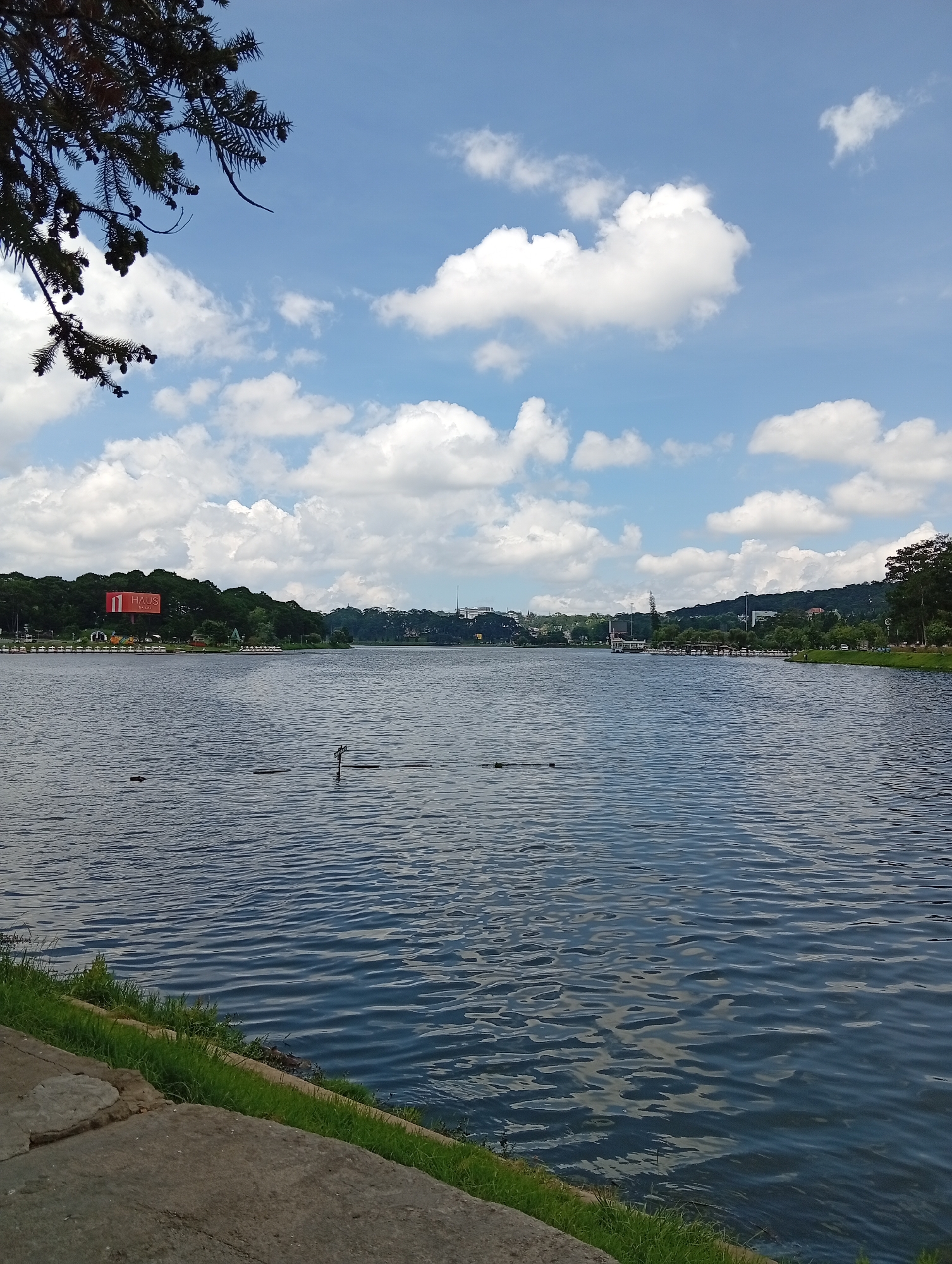 A landscape photograph depicts a calm, blue lake under a partly cloudy sky. In the distance, trees line the opposite shore. Buildings are visible among the trees. A large billboard can be seen. The foreground shows a concrete edge with grass. A tree branch with leaves and pine cones hangs in the upper-left corner. This is most likely Xuan Huong Lake in Da Lat, Vietnam. The billboard is for Haus Smart.