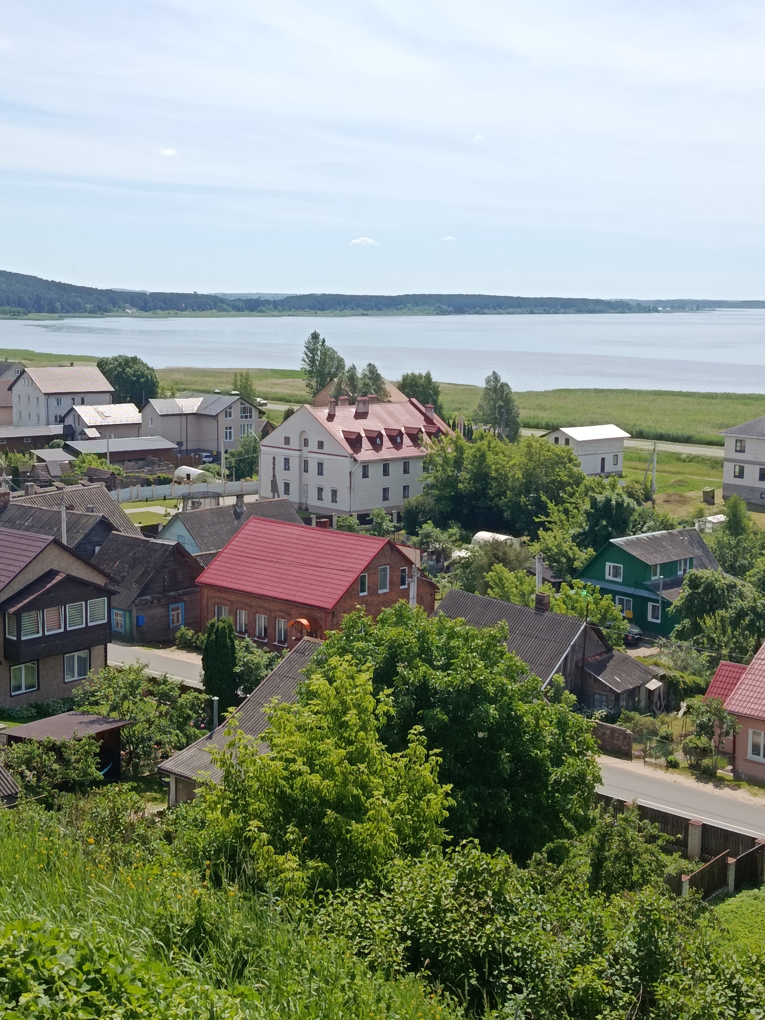 The image is an aerial view of a village near the city of Braslaw, Belarus, situated on the shores of a large lake. The foreground is dominated by lush green vegetation, with tall grasses and trees obscuring some of the lower buildings.
The middle ground reveals a cluster of houses, varying in architectural style and condition. Several houses have red-tiled roofs, while others feature darker roofing materials. One prominent multi-story building with a red-tiled roof stands out with its white facade and numerous windows. Other structures include smaller, older homes with wooden siding and newer brick houses. A paved road runs through the village, bordered by wooden fences. Trees are interspersed throughout the residential area, providing shade and natural beauty.
In the background, a vast body of water, likely Lake Braslaw, stretches towards a distant tree-lined shore. The sky is largely clear with a few scattered clouds. The overall impression is of a peaceful, rural settlement nestled within a picturesque natural landscape. There are no people visible in the image. The scene appears to be captured on a sunny day, likely during the summer months given the vibrant greenery.