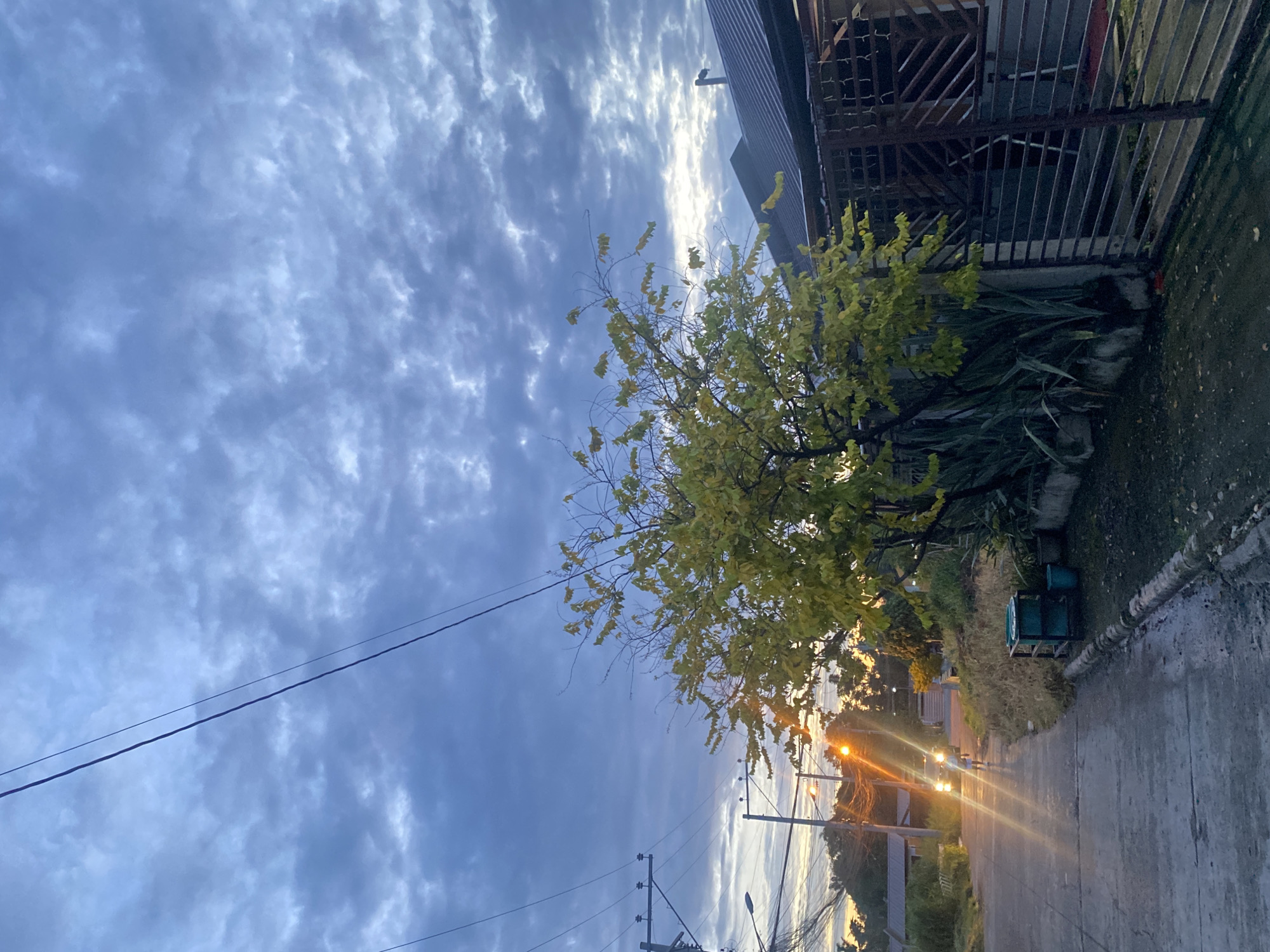 This image depicts a residential street in Davao City, Philippines, during dusk. The sky is filled with a dramatic display of gray and white clouds, suggesting an overcast or stormy condition. A tree with yellowing leaves stands prominently in the foreground, partially obscuring a house with a dark, sloped roof and a metal gate. The street is paved with concrete and is lined with vegetation, including tall, strappy plants. A person is walking down the street, illuminated by the headlights of an approaching vehicle. Electrical poles and wires are visible in the background, characteristic of urban infrastructure in the Philippines. The overall mood is serene, with the warm glow of streetlights and vehicle headlights contrasting with the cool tones of the sky.
