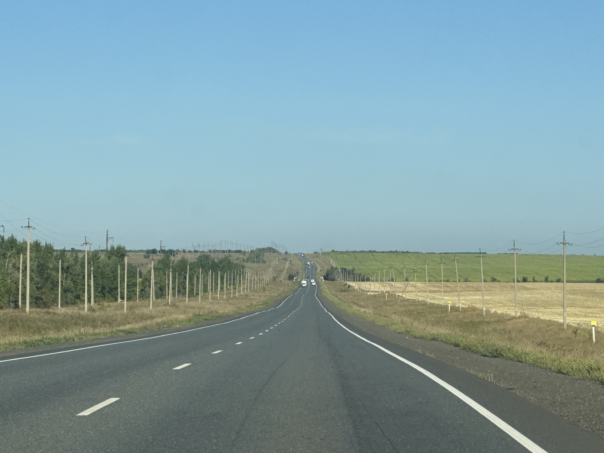 A long, two-lane asphalt road stretches into the distance, bordered by power lines and agricultural fields under a clear blue sky. On the left, a line of tall, slender trees runs parallel to the road, with a row of utility poles interspersed. The fields on either side of the road are a mix of dry, harvested crops and vibrant green vegetation. Several vehicles are visible on the road ahead, moving away from the viewer. The scene suggests a rural landscape in Gamaleevka-1, Russia, characterized by open spaces and agricultural activity.