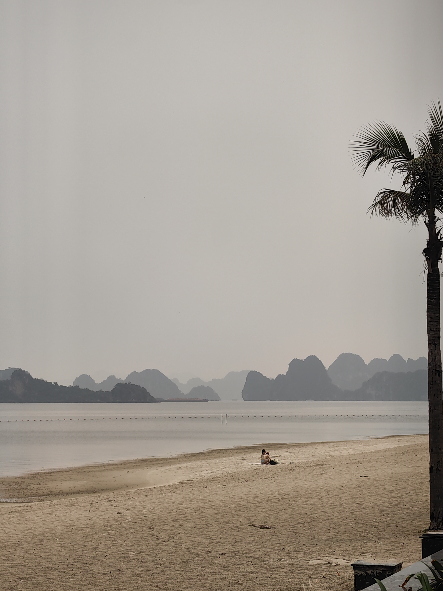 This image presents a serene coastal landscape in Ha Long Ward, Vietnam, featuring a sandy beach, calm bay waters, and distant karstic islands under an overcast sky.
In the foreground, a wide expanse of light brown sand stretches across the lower portion of the frame, exhibiting subtle textures and gentle curves where it meets the water. To the far right, the dark, textured trunk and some fronds of a tall palm tree are visible, partially cut off by the edge of the image, hinting at a tropical setting.
The middle ground is occupied by the placid, muted grey water of the bay. A line of small, dark buoys extends horizontally across the water, marking a gentle boundary. On the sandy beach, slightly to the left of the center, two individuals are seated close together on what appears to be a light-colored blanket or towel, seemingly relaxing and enjoying the quiet atmosphere.
The background is dominated by the iconic karstic limestone islands and mountains, characteristic of Ha Long Bay. These formations appear in various shades of grey, their silhouettes softened and layered by the pervasive atmospheric haze. This haze also contributes to the uniformly light grey, almost featureless sky, indicating an overcast day with diffuse light. Faintly visible in the far distance, nestled among the islands and beyond the line of buoys, is a large, reddish-brown barge or ship.
The overall scene conveys a sense of tranquility and subdued natural beauty, with the hazy conditions lending a soft, almost monochromatic aesthetic to the landscape. There is no visible text in the image.