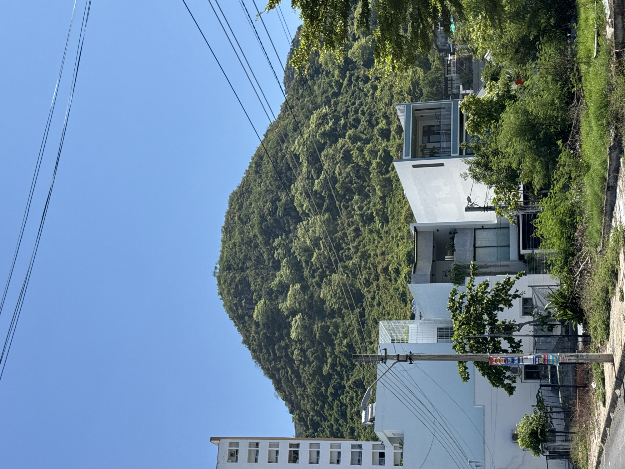 The image depicts a scene in Bac Nha Trang Ward, Vietnam, featuring a lush green mountain dominating the background under a clear blue sky. In the foreground, several modern white buildings with clean lines and glass elements are visible. A tall, multi-story apartment building stands to the left, characterized by its numerous windows and a reddish-brown vertical accent. To its right are lower-rise residential structures with balconies and expansive windows. A utility pole with electrical wires stretches across the mid-ground. Dense vegetation, including trees and shrubs, surrounds the buildings and extends up the mountainside, indicating a tropical or subtropical environment. The ground in the foreground appears to be unpaved and somewhat overgrown with grass and debris. No people are visible in the image.