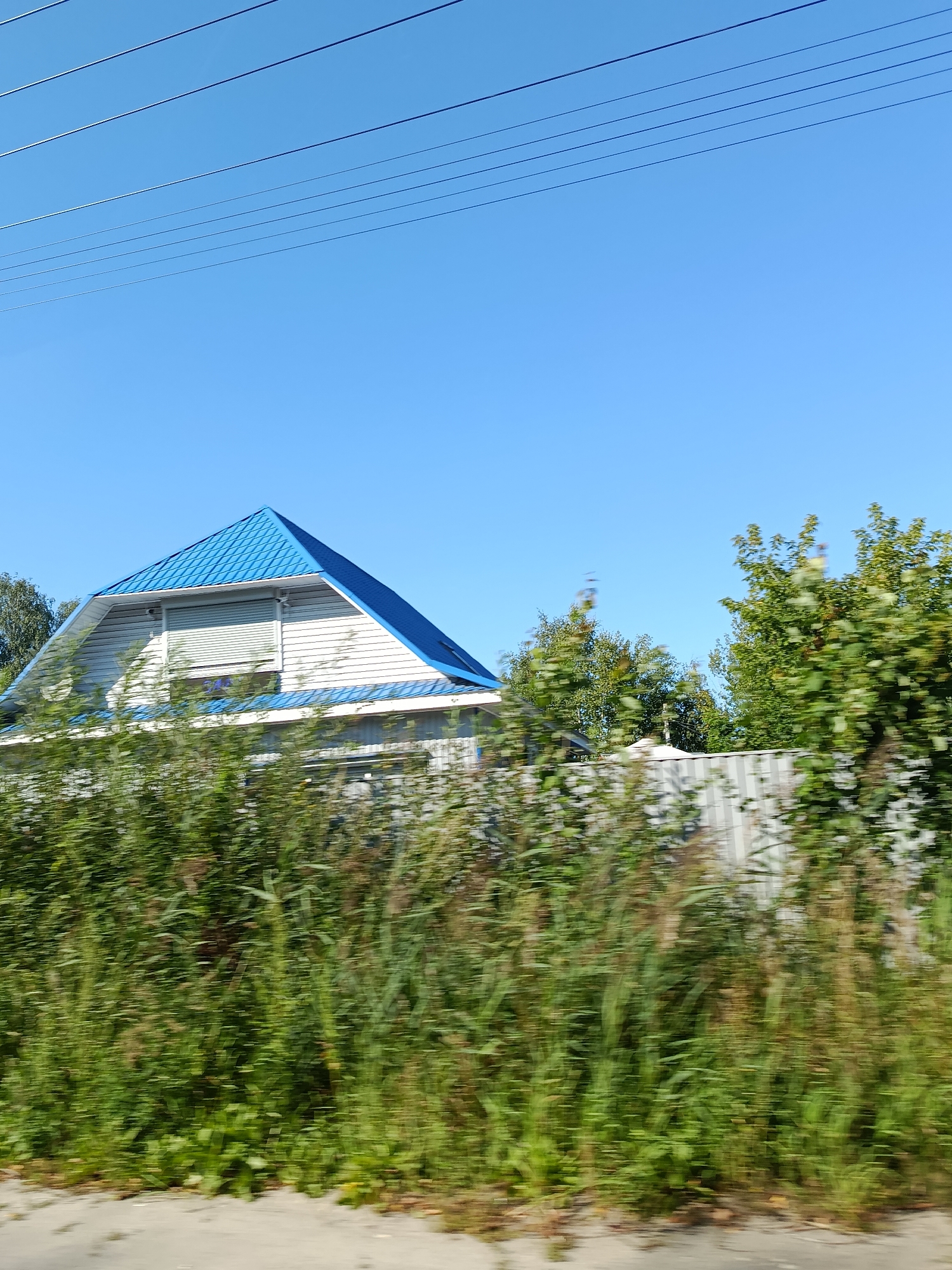 The image shows a residential building with a bright blue roof and white siding under a clear blue sky. Overhead power lines stretch across the top of the frame. A chain-link fence and dense green foliage, including tall grasses and trees, are visible in front of and to the side of the house. The foliage exhibits motion blur, suggesting the image was taken from a moving vehicle. The scene is set in Snopok Novyi, Russia.