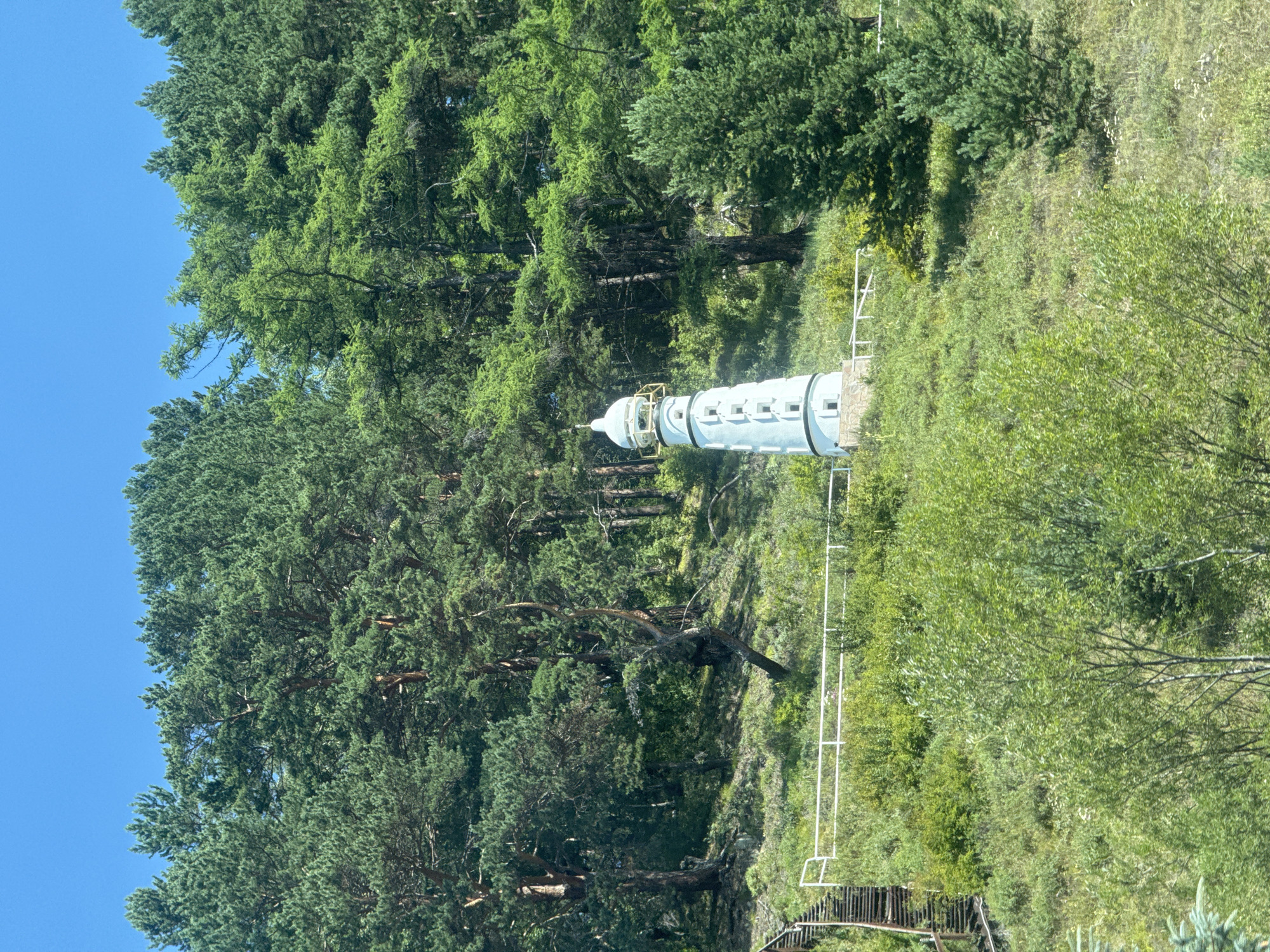 A light blue, decorative lighthouse stands on a grassy hill with a dense forest of pine trees in the background under a clear blue sky. To the left of the lighthouse, a wooden staircase ascends the hillside. A white railing runs along the top of the hill, separating the lighthouse area from the slope. The lighthouse is cylindrical with a conical roof and appears to be a miniature replica. The environment suggests a natural, possibly park-like setting.