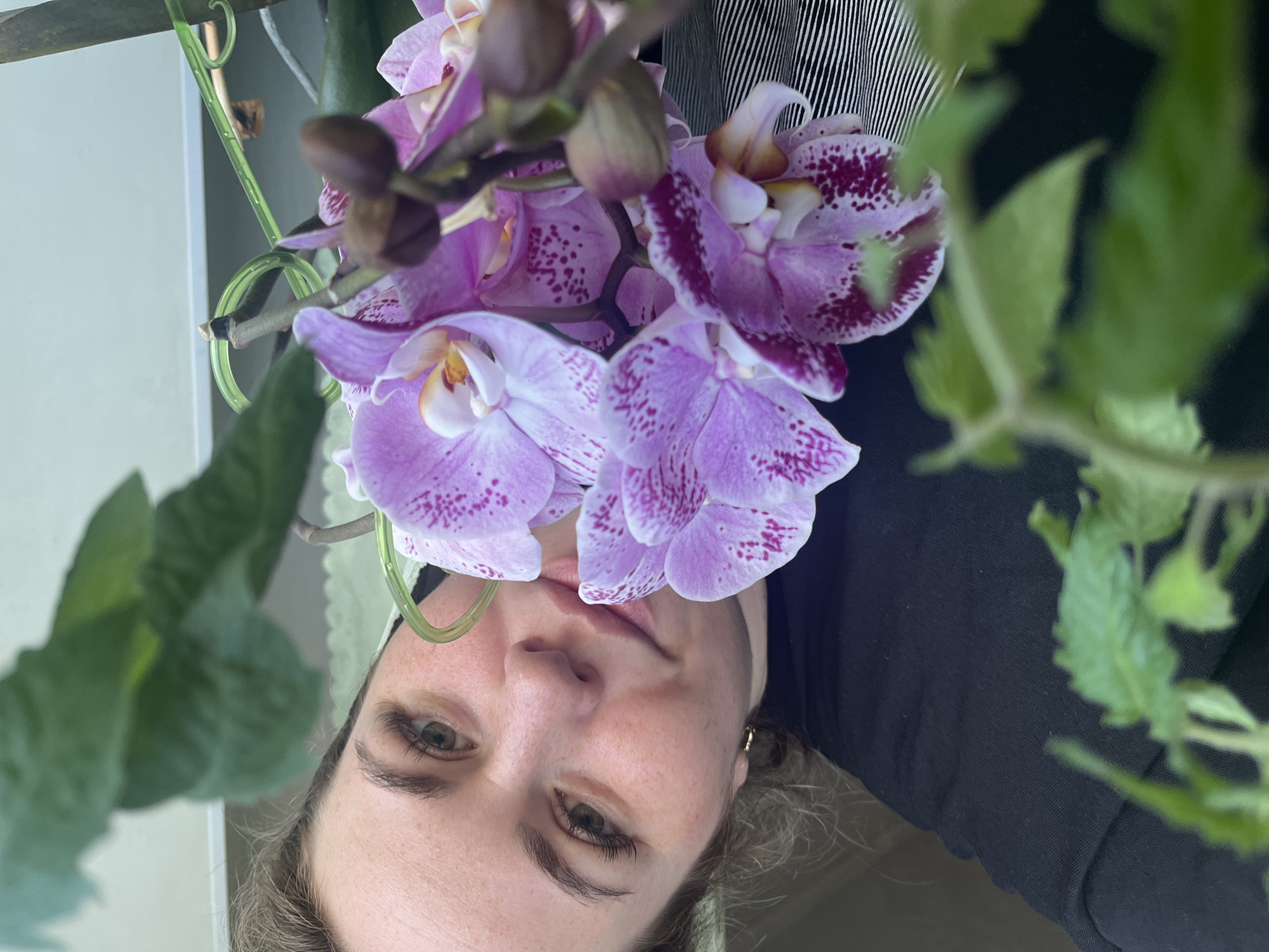 A woman's face is seen from below, appearing upside down relative to the perspective. Her face is framed by pink and purple orchids with speckled patterns, some of which are still in bud. To the left and right of her head are out-of-focus green leafy plants. She has fair skin and light-colored hair. She appears to be wearing a dark-colored shirt, possibly black. The background is blurry, including a light-colored wall and striped pattern. The location in Сосново, Russia is not evident from the provided image.