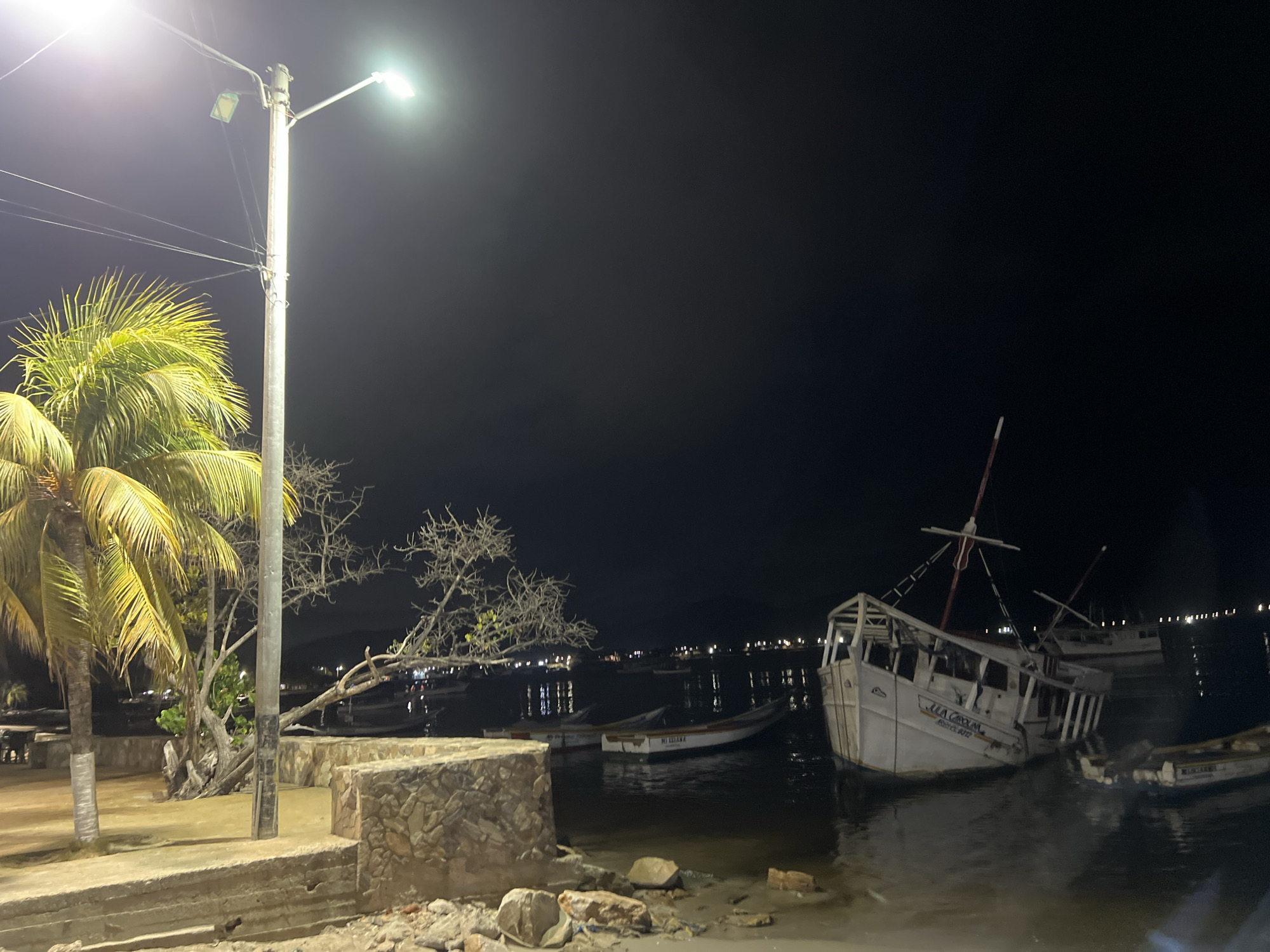 This is a night-time photograph taken from a paved walkway overlooking a body of water in Juan Griego, Venezuela. A tall lamppost with two lights illuminates the scene. To the left, the fronds of a palm tree are visible, lit by the lamppost. Further into the water, several boats are moored. In the foreground, a large white boat, listing heavily to its side, dominates the right side of the frame. Smaller boats are nearby. The background shows a dark sky with scattered lights reflecting on the water, suggesting a populated area along the coast. The overall scene depicts a nocturnal view of a waterfront, possibly a harbor or bay, with a prominent capsized or heavily grounded vessel.