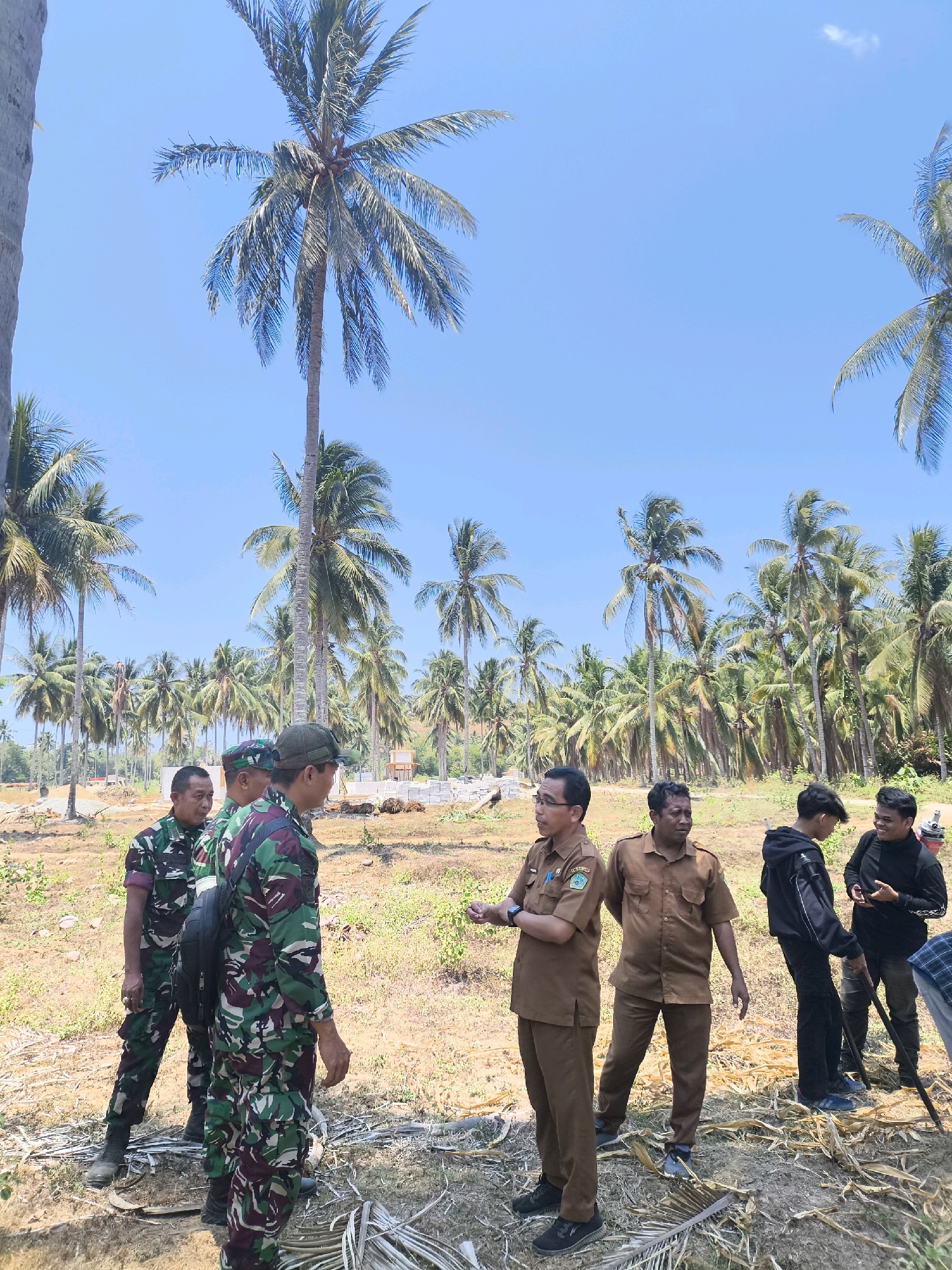 In Modelomo, Indonesia, a group of men stand in a tropical landscape under a clear blue sky, surrounded by numerous palm trees. Three men in camouflage military uniforms are on the left side of the image, appearing to be in conversation or receiving instructions. To their right, two men in light brown uniforms, possibly civilian officials, engage in discussion. Further to the right, two young men in casual clothing are also interacting. The ground is dry and covered with sparse vegetation and debris, suggesting an undeveloped or rural area. In the background, more palm trees stretch into the distance, some with visible coconuts. The scene appears to be an outdoor inspection or meeting in a location characterized by its abundant palm tree vegetation.