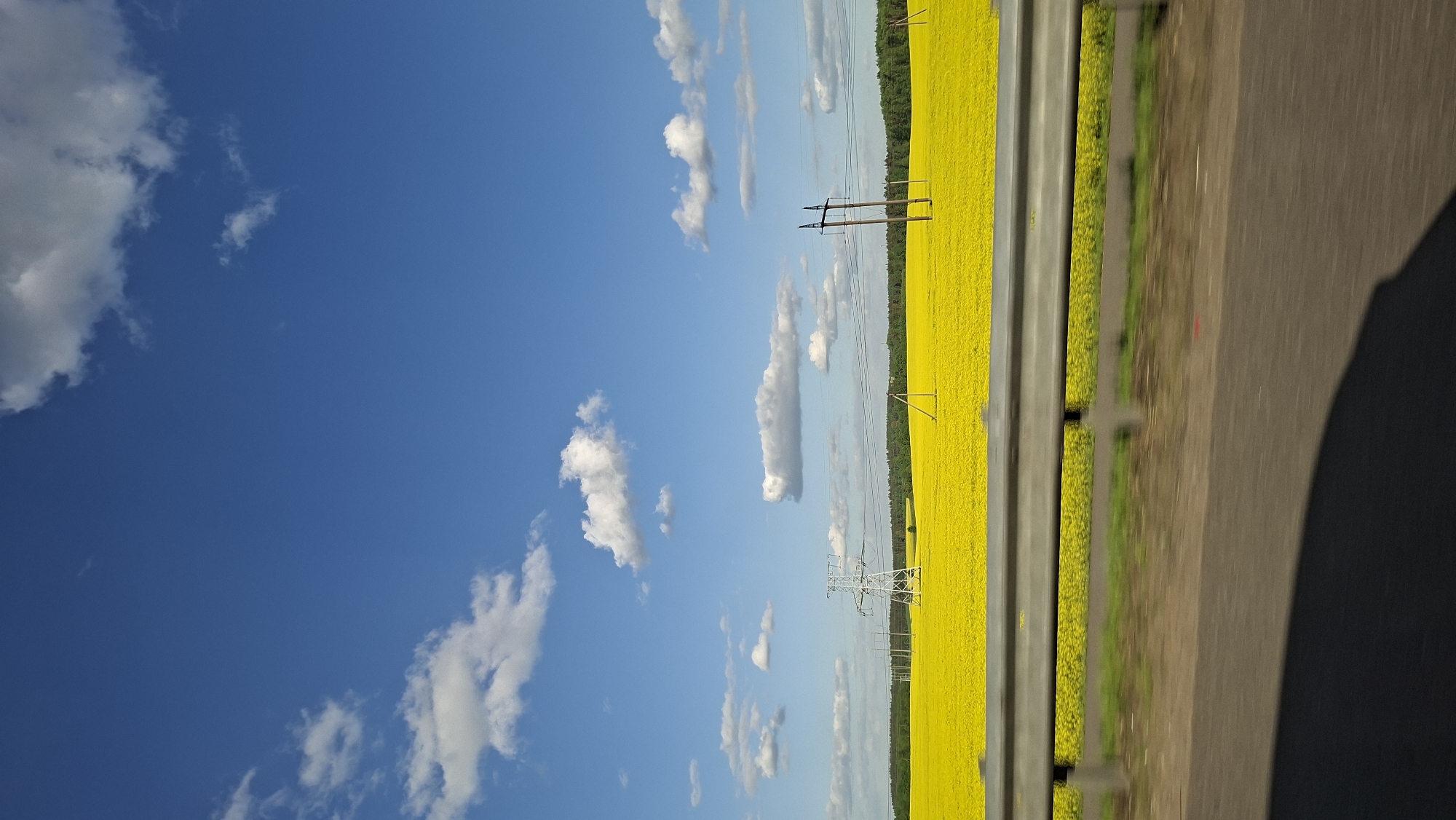 The image shows a rapeseed field next to a road, likely taken from a moving vehicle. The sky is blue with scattered white clouds. Power lines run through the field. The location is potentially Папярнянскі сельскі Савет, Belarus, based on the presence of rapeseed fields and power lines typical of the region. There are no people visible in the image. A guardrail separates the rapeseed field from the road.