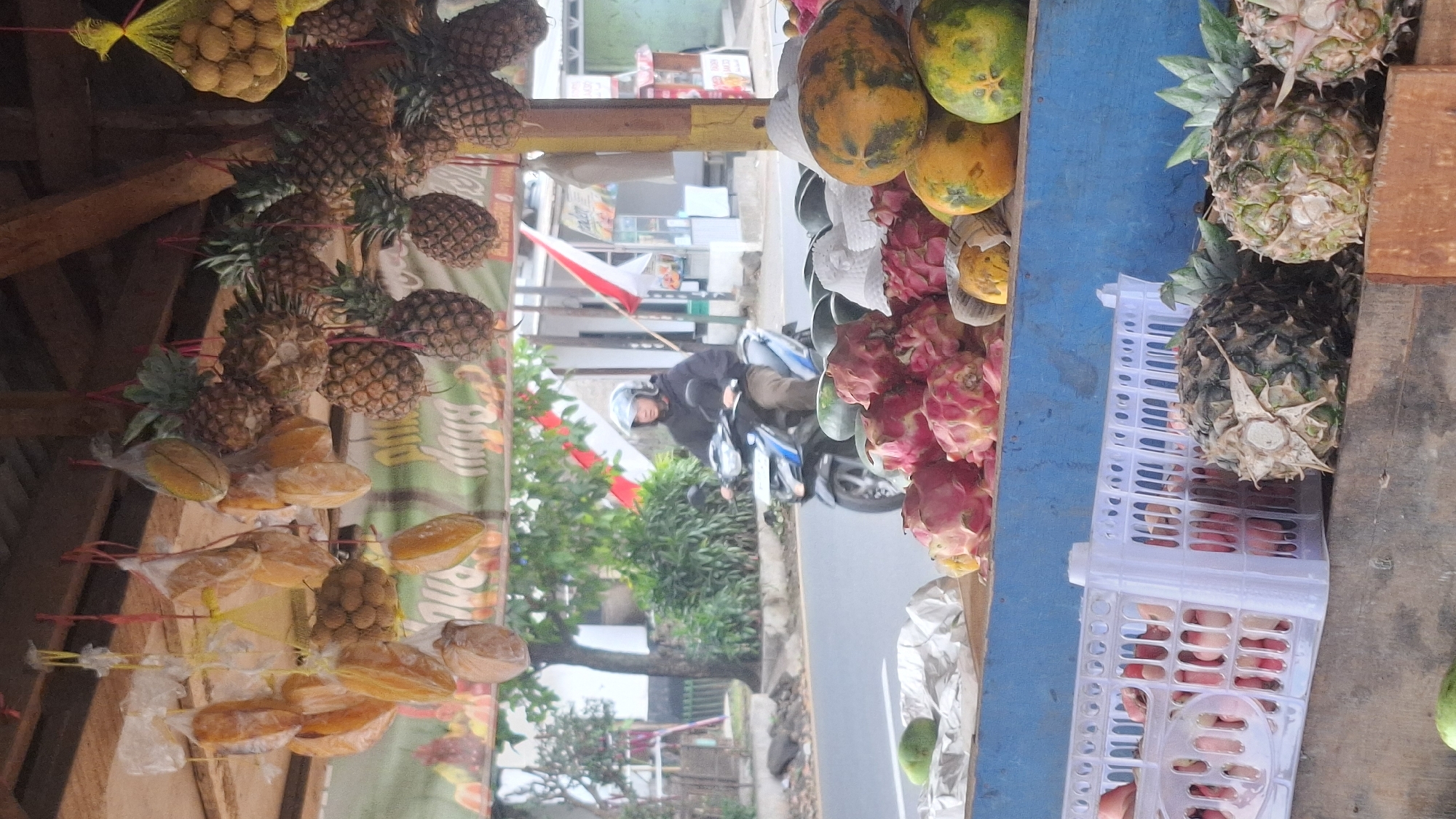 This is a medium shot of an outdoor fruit stand in Cilaku, Indonesia, with a street scene in the background. The fruit stand has a wooden roof and a blue painted shelf displaying various fruits. In the foreground, there are crates of dragon fruit, papayas, watermelons, and pineapples. Some fruits are hanging from the roof, including pineapples, starfruit, and possibly longan or lychee. A person wearing a black hoodie and a helmet is riding a blue and white motorcycle on the street behind the fruit stand. There are trees, buildings, and red and white Indonesian flags visible in the background. The ground appears to be asphalt.