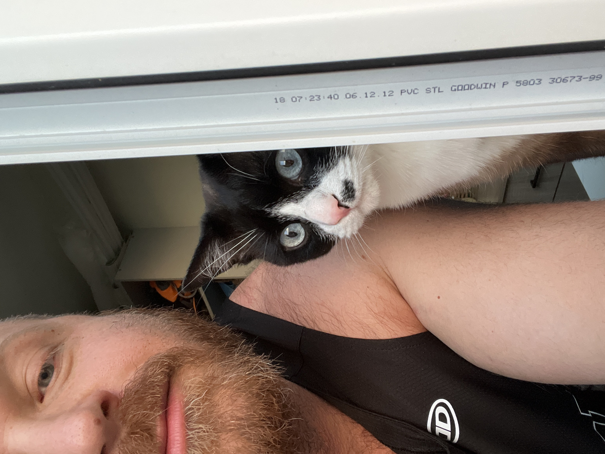 A close-up, slightly tilted, indoor shot shows a light-skinned man with a reddish-brown beard and a black and white cat. The man is wearing a black tank top with a white logo. The cat is perched above the man's arm, looking down at the camera with blue eyes. A white window frame is visible above the cat. The text "18 07:23:40 06.12.12 PVC STL GOODWIN P 5803 30673-99" is printed on the window frame. The location is not discernible from the image.