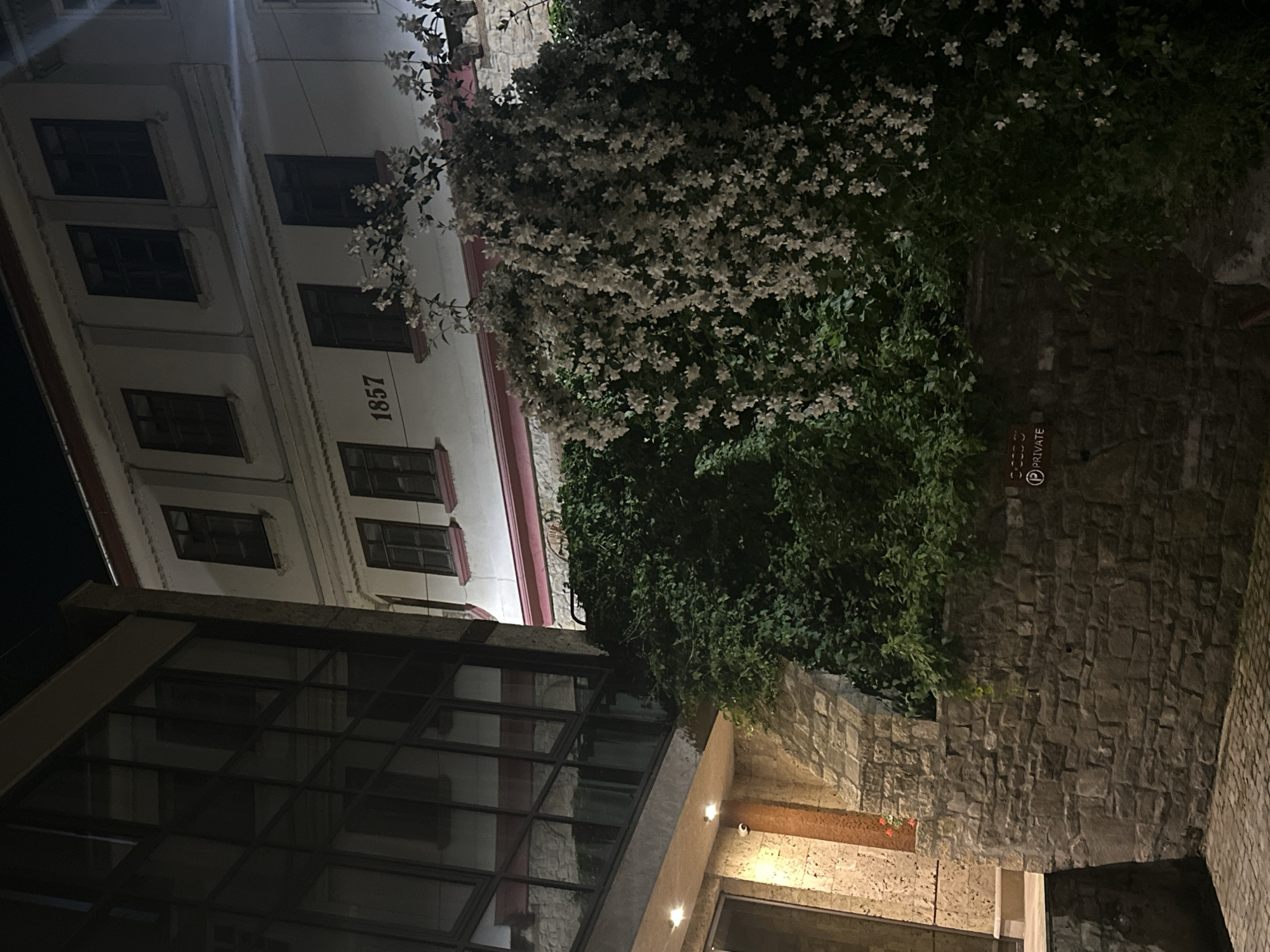 At night in Veliko Tarnovo, Bulgaria, a low-angle view captures buildings and foliage. On the left, a modern glass-facade structure angles toward the top-center, where a multi-story building with dark-framed windows and the number "1857" is visible. Lush greenery, including flowering vines, cascades from above, partially obscuring both buildings. To the right, a stone wall rises vertically, with a "PRIVATE" sign visible. The lighting is dim, with artificial lights illuminating sections of the buildings and wall.