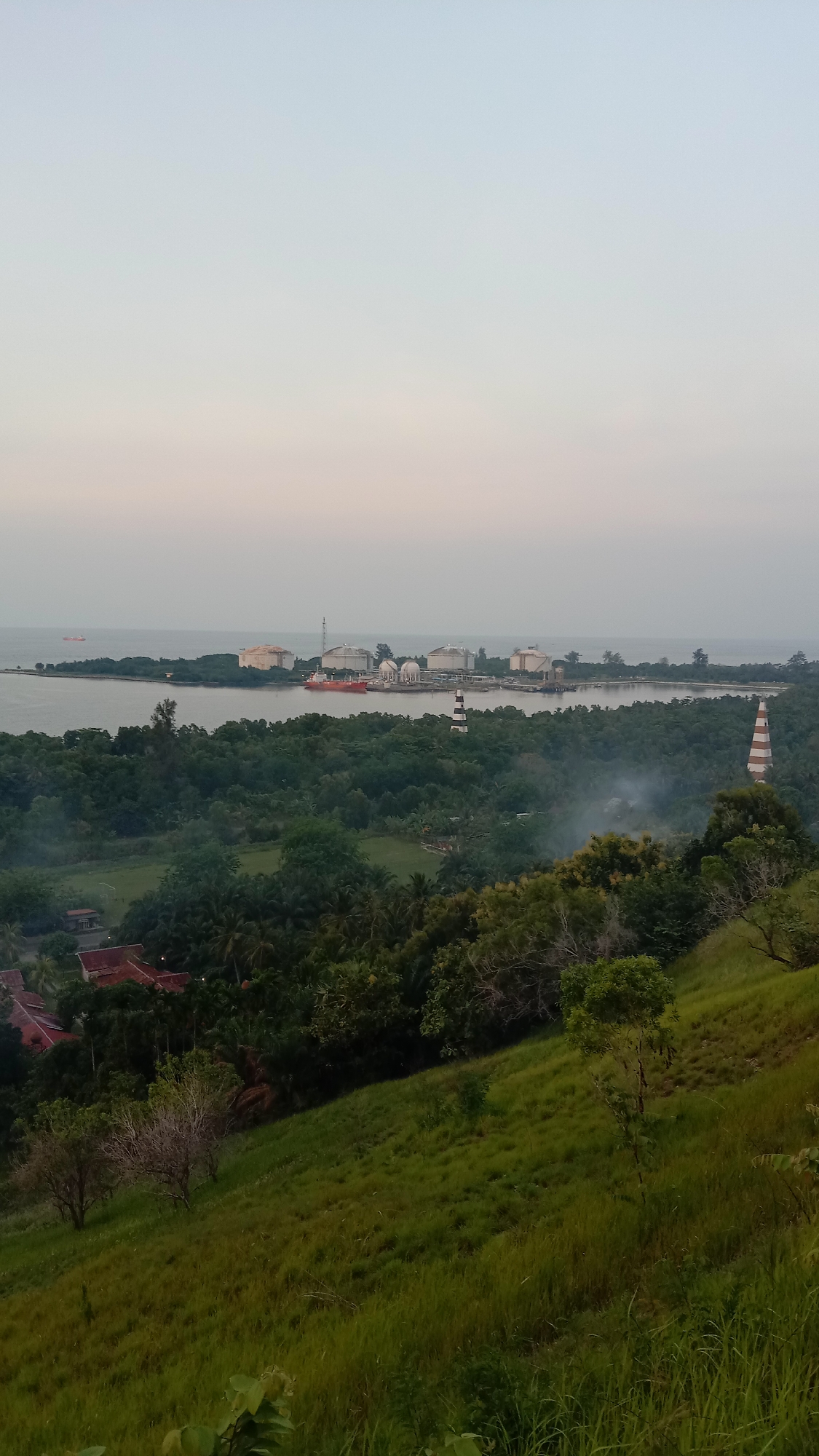 The image presents a panoramic landscape view captured from a high vantage point, looking over a coastal area, likely Lhokseumawe, Indonesia.
The foreground is dominated by a vibrant green hillside, covered in tall grass and dotted with a few small, sparse trees, sloping gently downwards towards the midground.
In the midground, a dense expanse of lush tropical forest stretches across the frame. Amidst the greenery on the left, several red-roofed buildings are visible, possibly residential or resort structures. Two distinct lighthouses rise from the tree canopy: one prominently striped in black and white, and another in red and white stripes. A notable detail is a plume of white smoke ascending from within the forest, positioned near the red and white lighthouse, suggesting a localized burning activity.
The background reveals a calm body of water, appearing to be a bay or harbor, which opens into the wider sea under a soft, diffused sky. Along the far shoreline, an industrial facility is visible, featuring several large, rounded storage tanks and a pier. A red ship is docked at this pier, and a smaller vessel is discernible further out in the open water.
The light quality, characterized by its softness and the pale, gradient hues of the sky (light blue fading to a faint peach near the horizon), strongly indicates that the photograph was taken either at dawn or dusk, contributing to a serene yet slightly hazy atmosphere. No specific human activity is explicitly shown, but the industrial presence and the smoke plume hint at ongoing operations and environmental elements. There is no visible text in the media file.