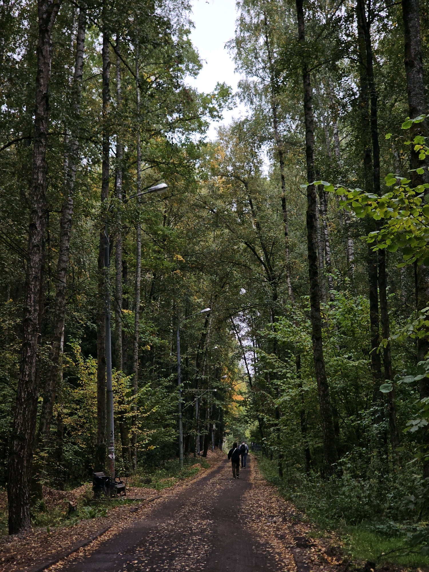 This is a full-frame, eye-level, vertical shot of a wooded path in Trekhgorka, Russia. The path is dirt and covered in fallen leaves. On the left side of the path, there is a dark metal park bench. Several lampposts are visible along the path. Two people are walking away from the camera on the path. The trees are tall and densely packed, with green and yellow leaves. The sky is overcast.
